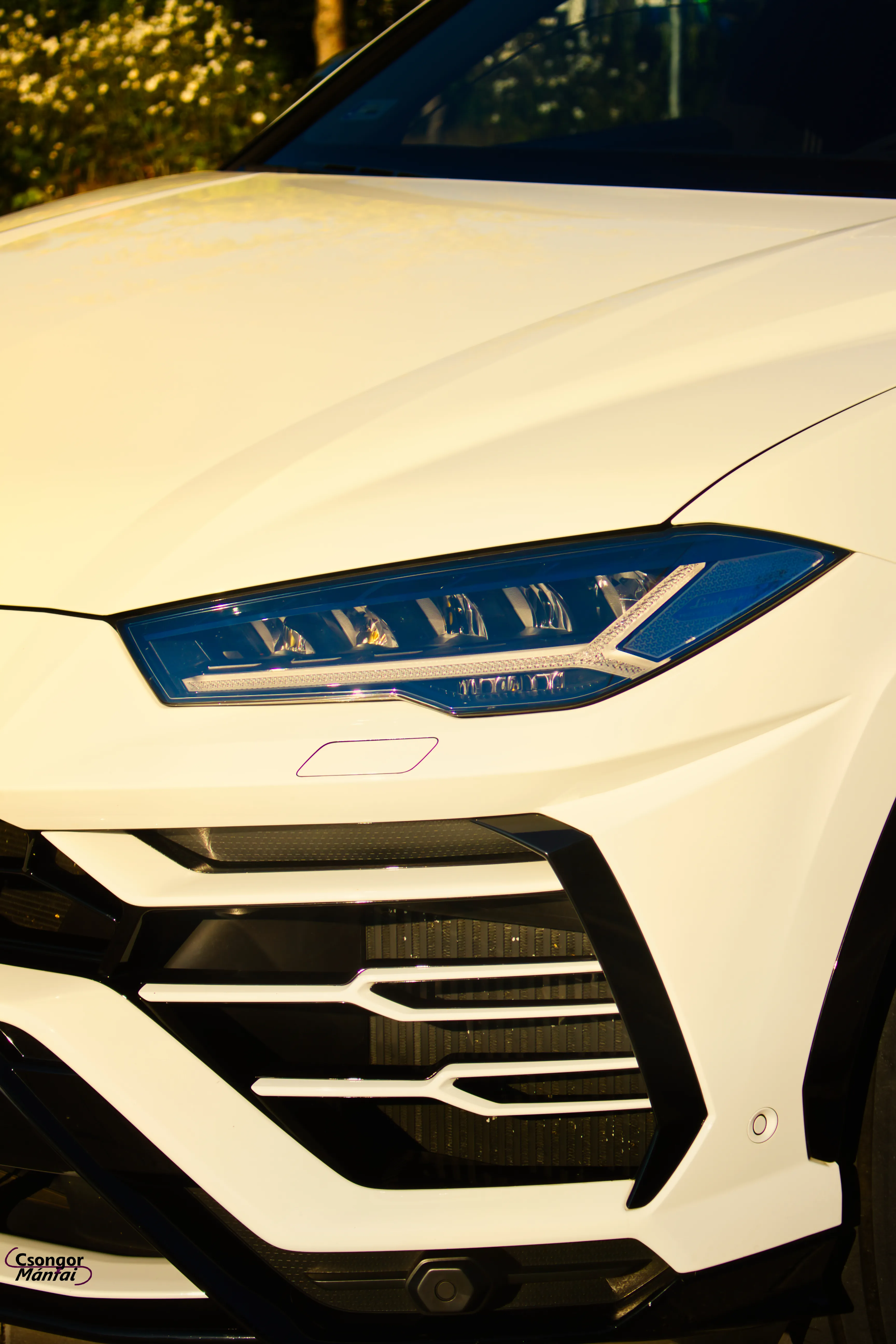 Lamborghini Urus 17