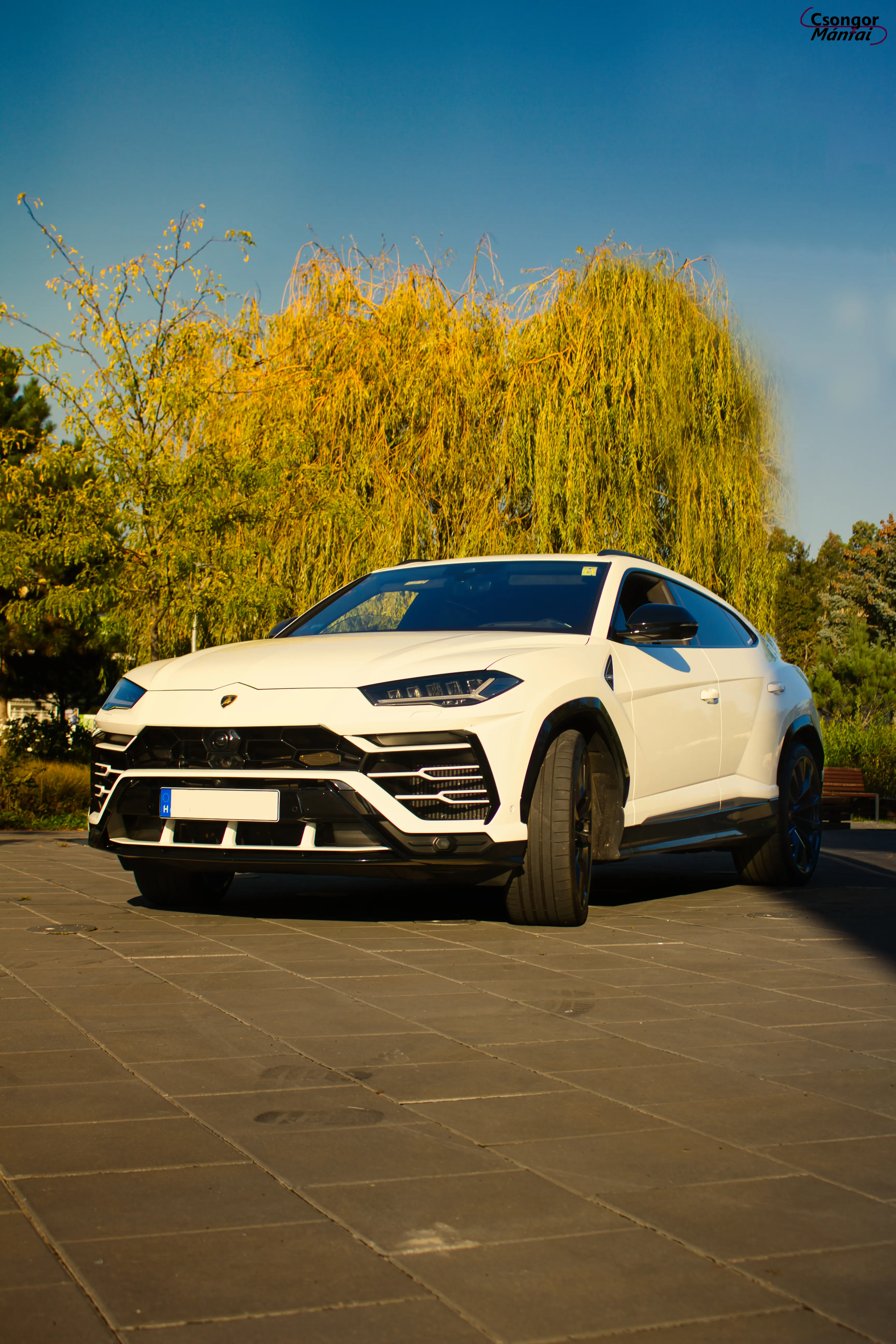 Lamborghini Urus 18