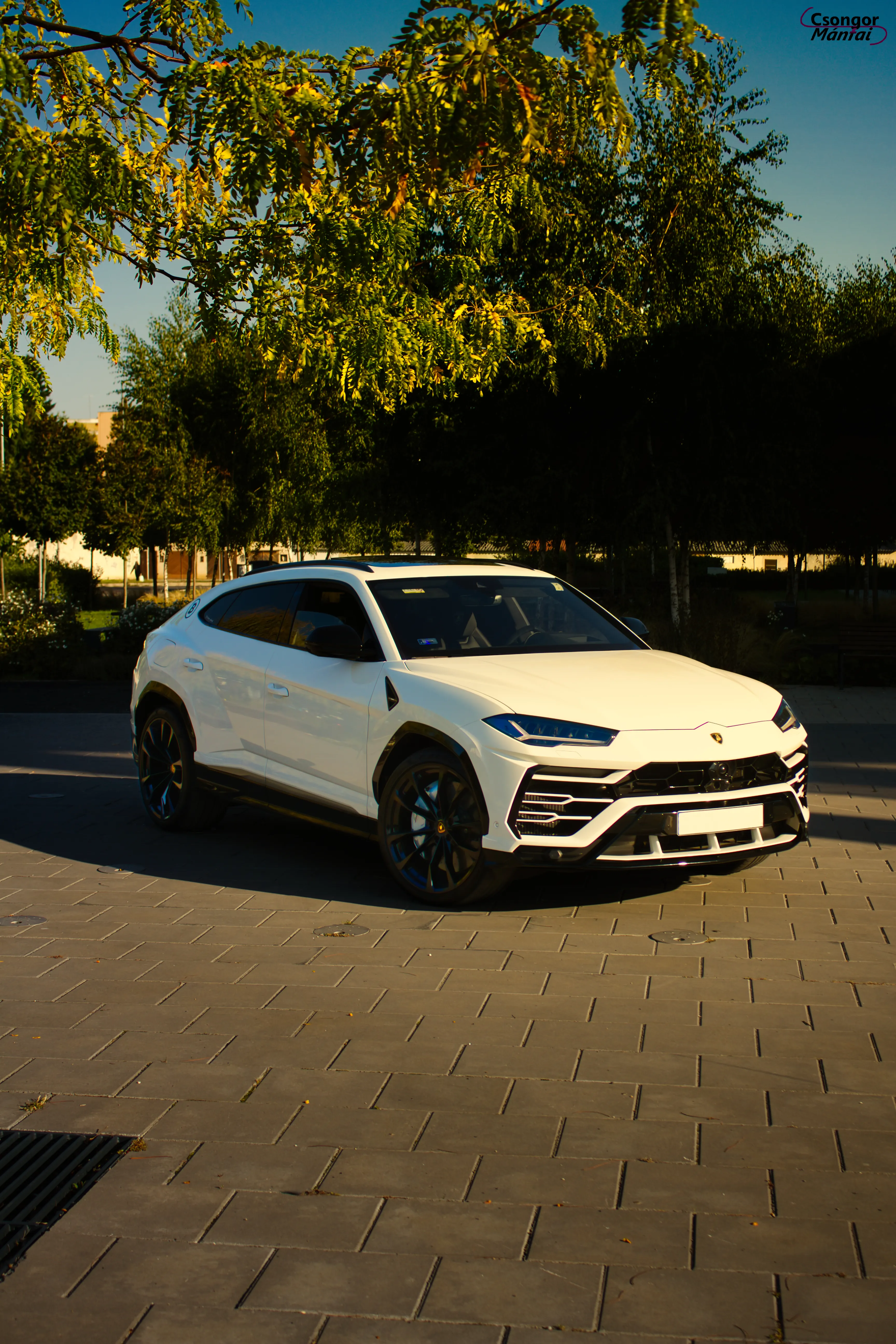 Lamborghini Urus 21