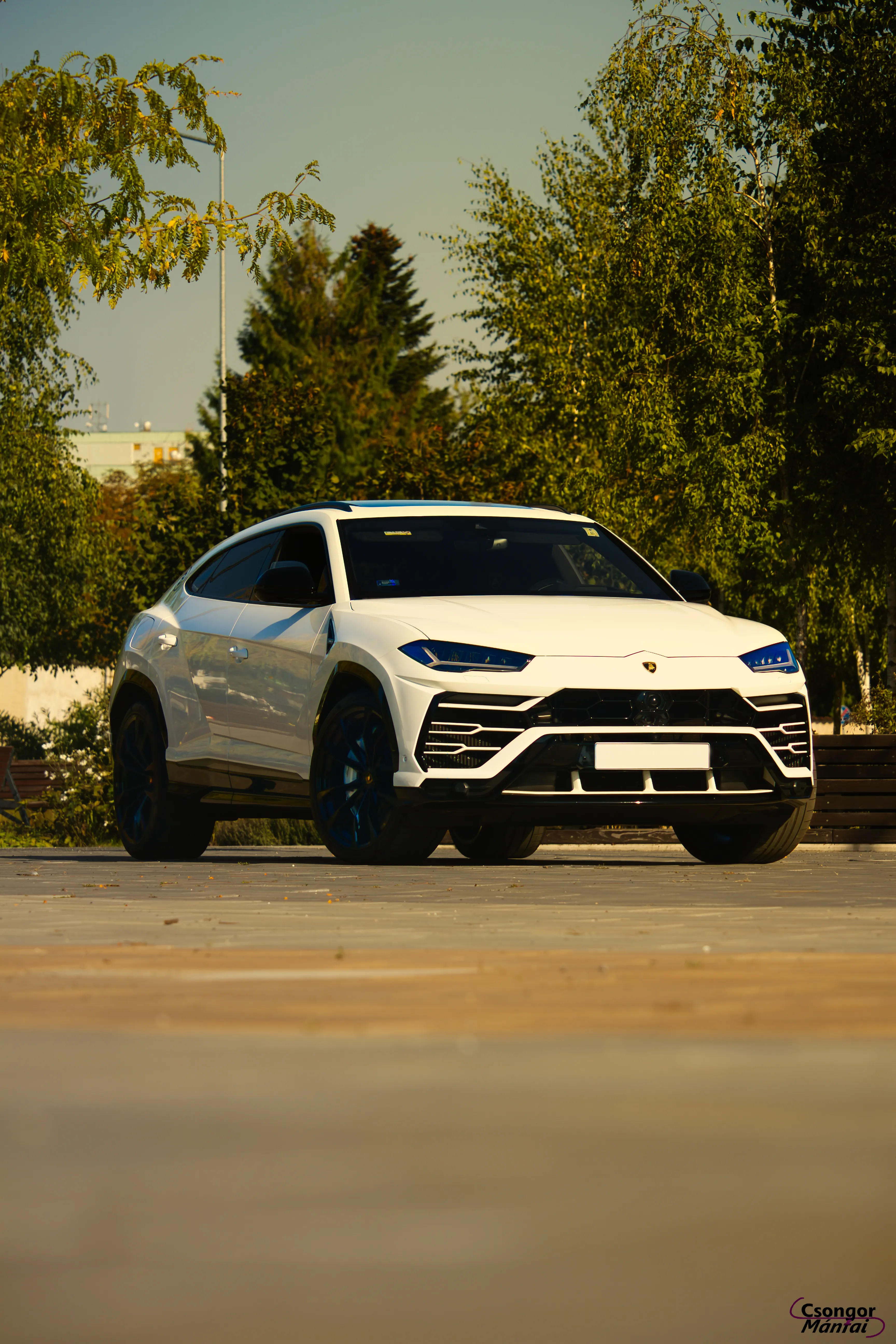 Lamborghini Urus 50