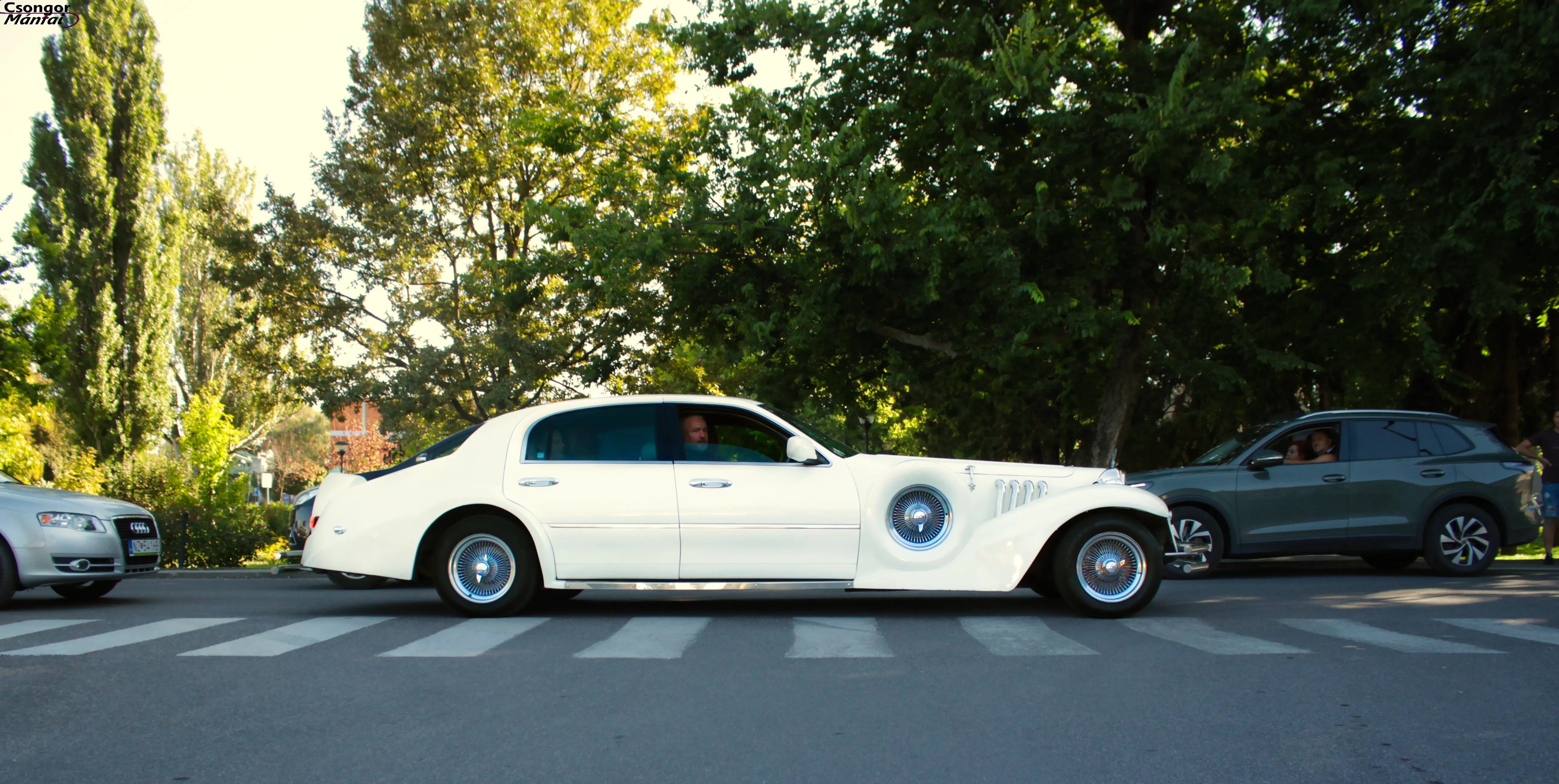 Lincoln Excalibur Portfolio - Click to View Full Gallery