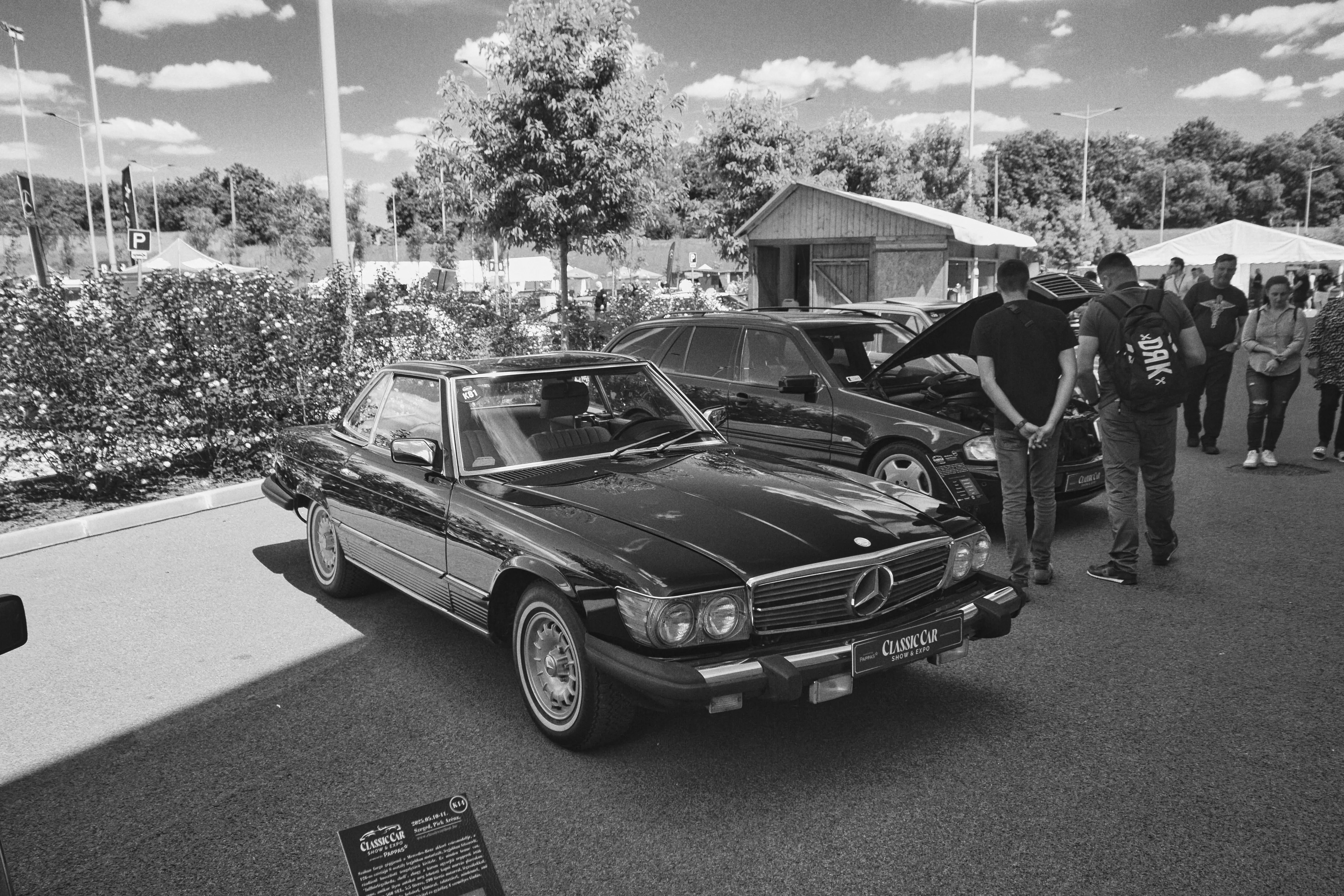 Mercedes Classic Show 109