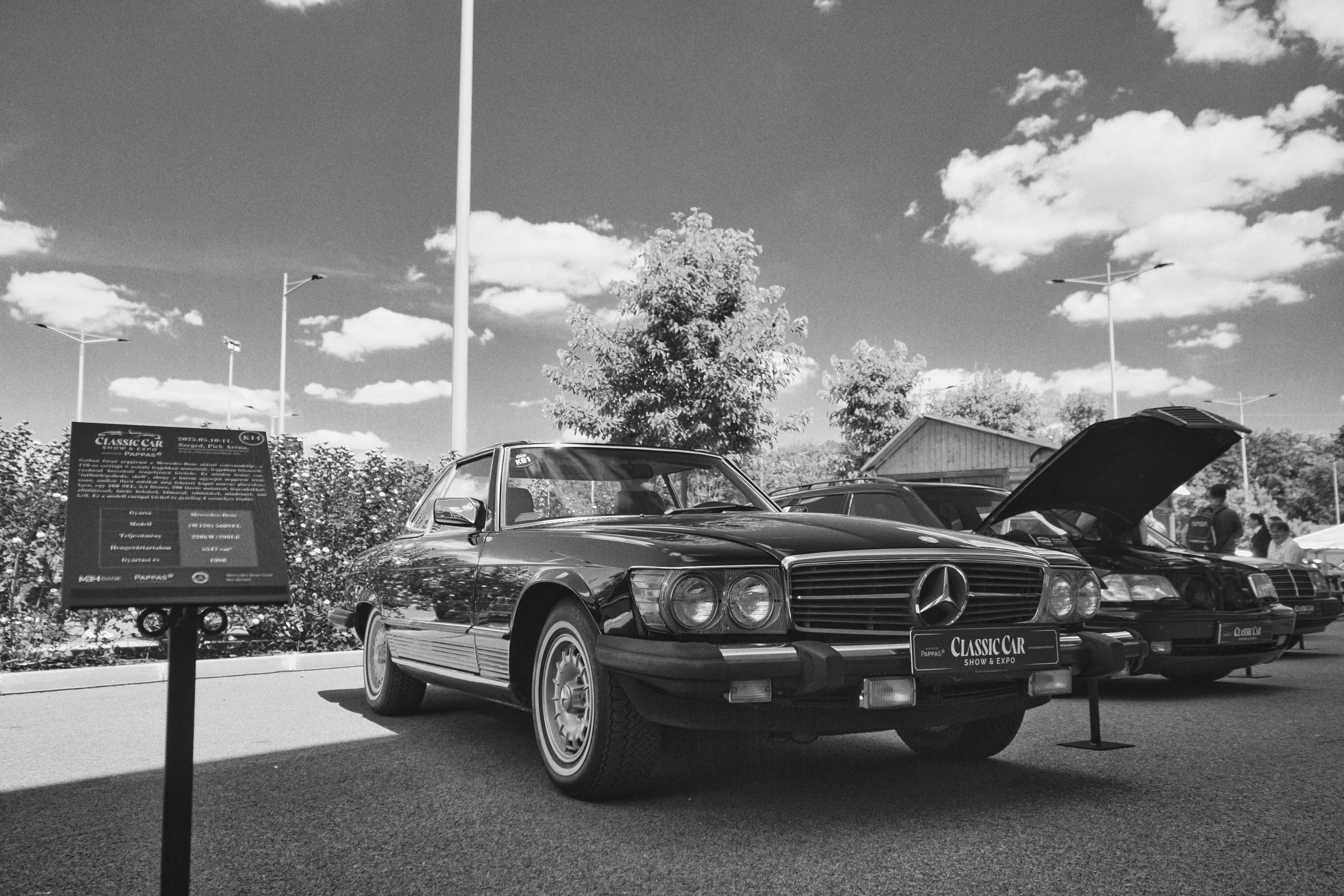 Mercedes Classic Show 110