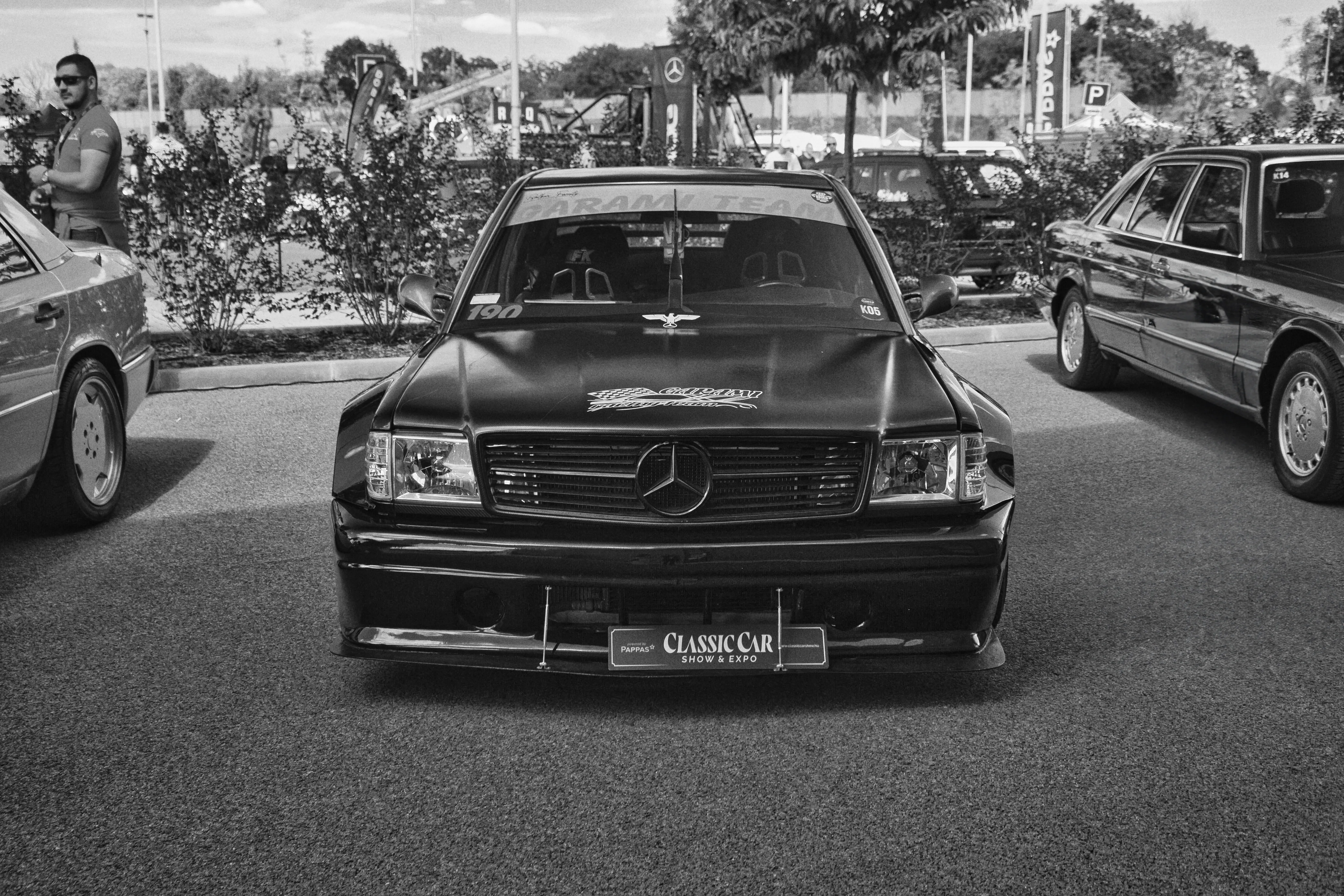 Mercedes Classic Show 119