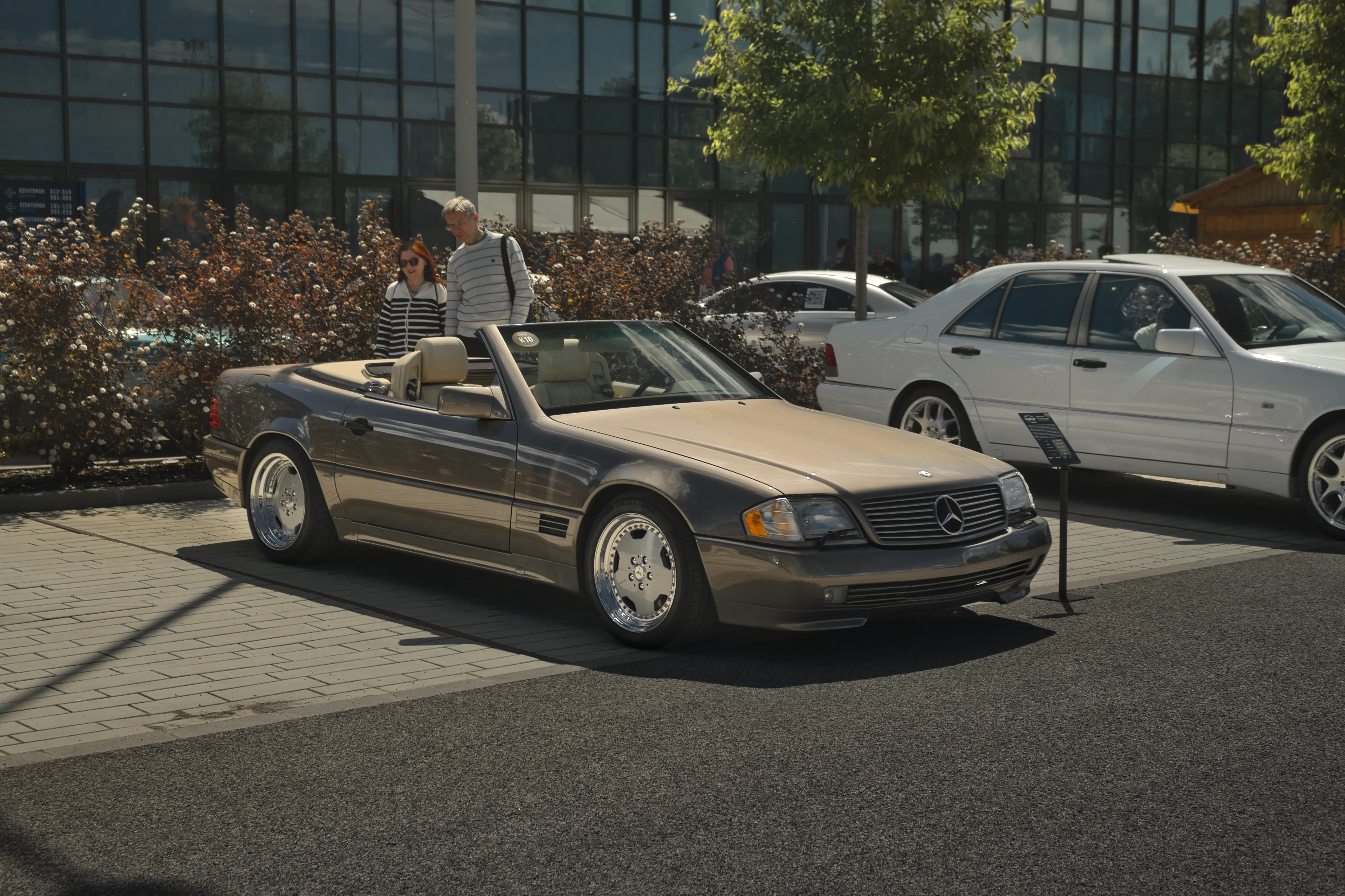 Mercedes Classic Show 134