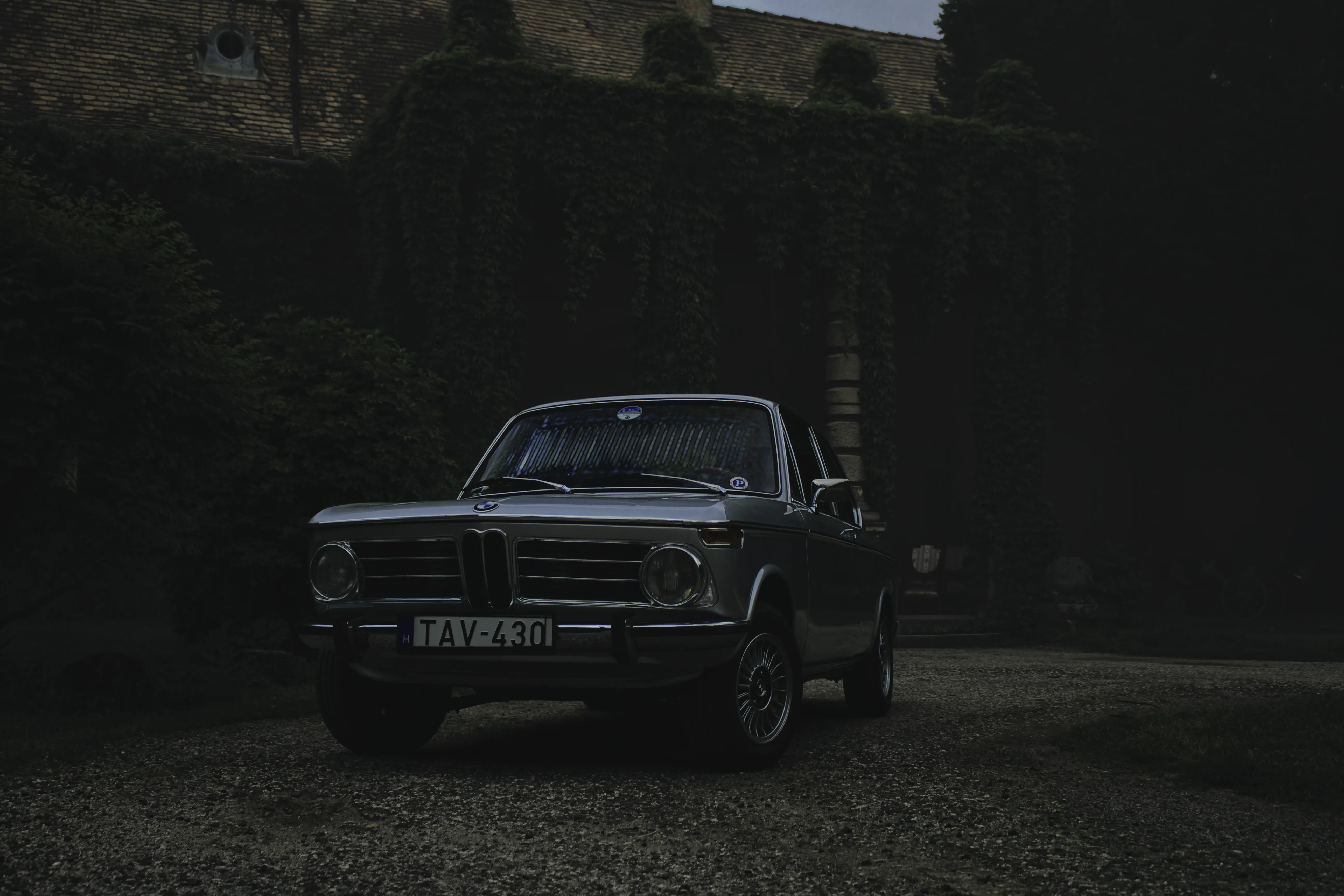 Authentic Majális 2025 111