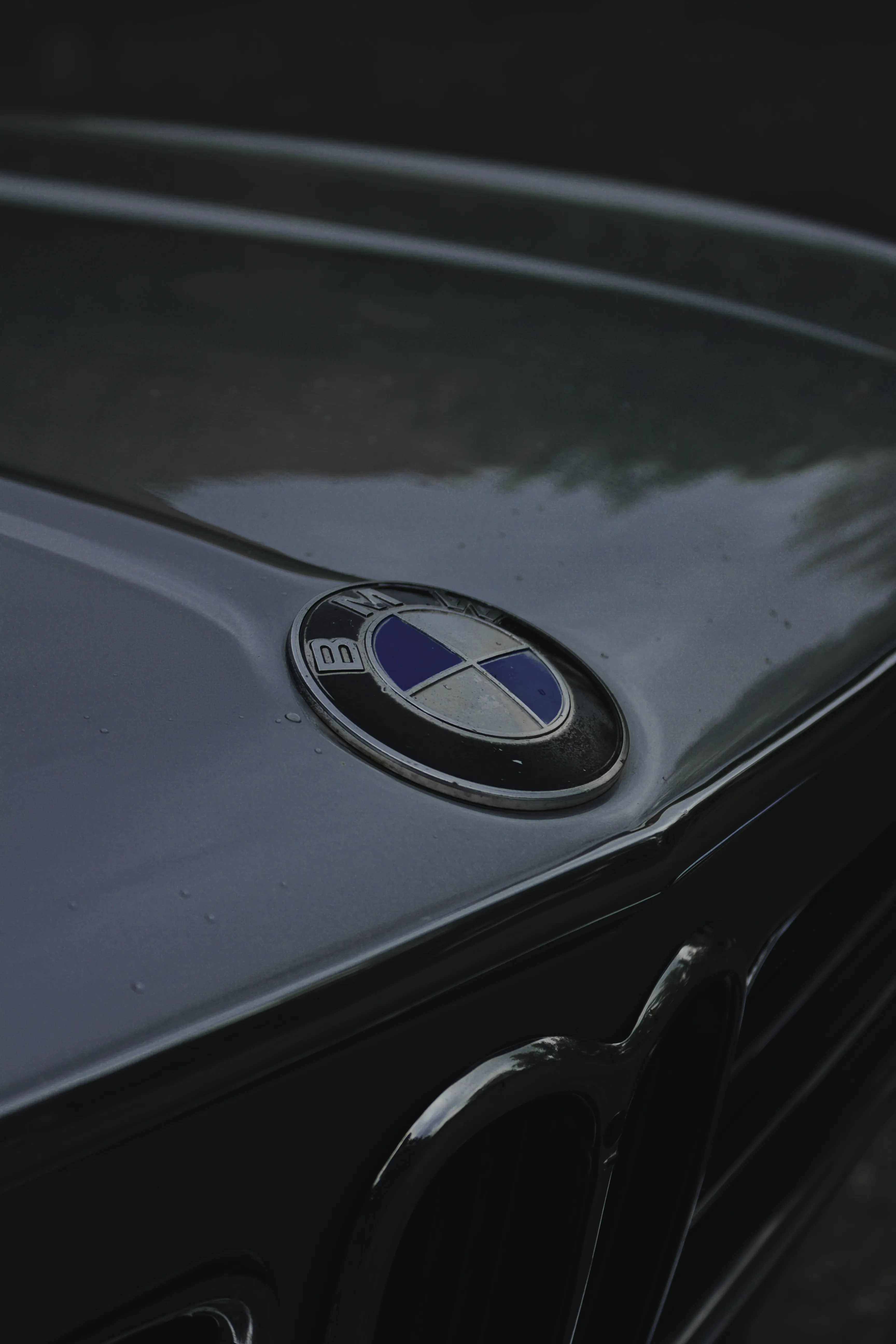 Authentic Majális 2025 109