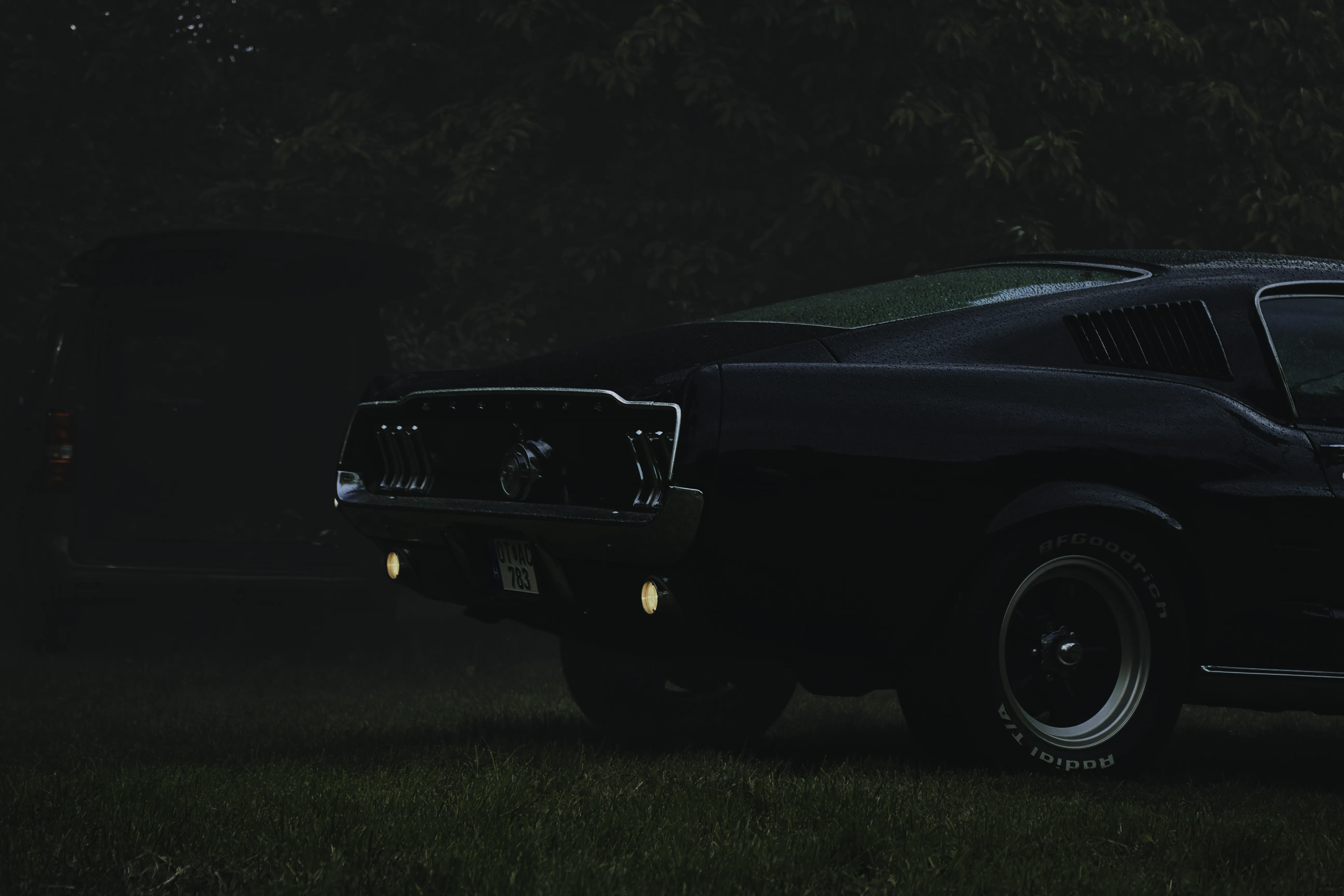 Authentic Majális 2025 105