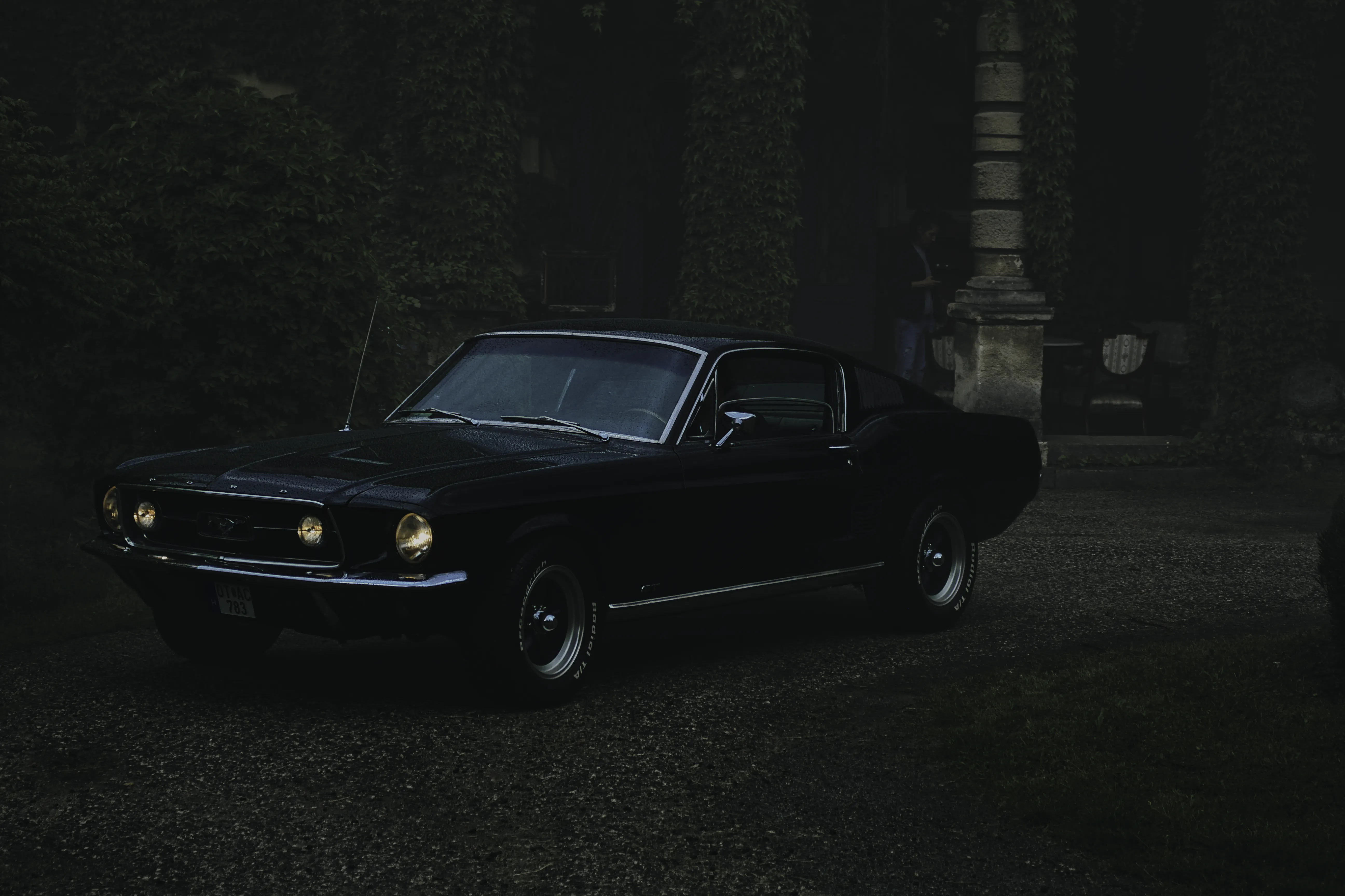 Authentic Majális 2025 104