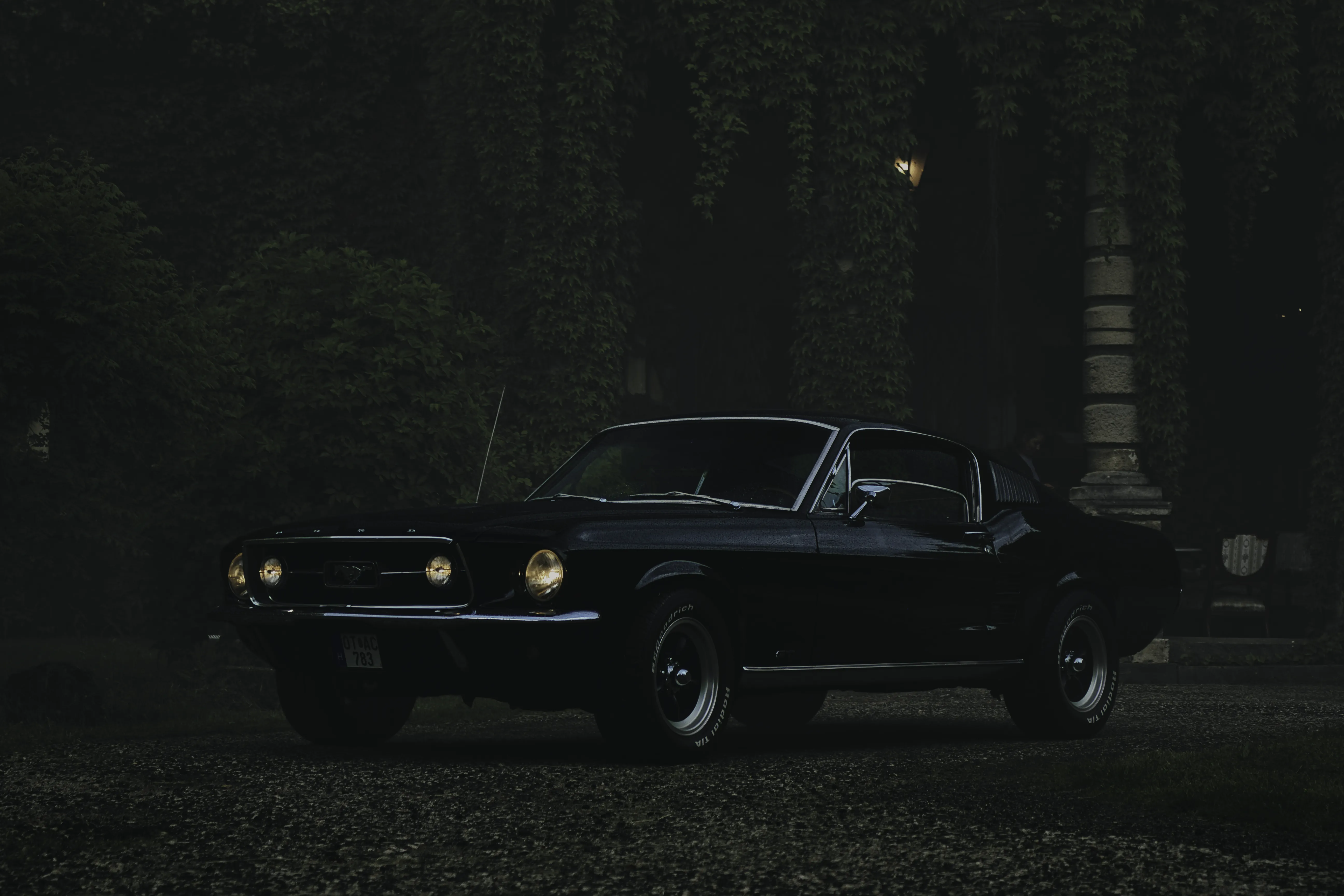 Authentic Majális 2025 103