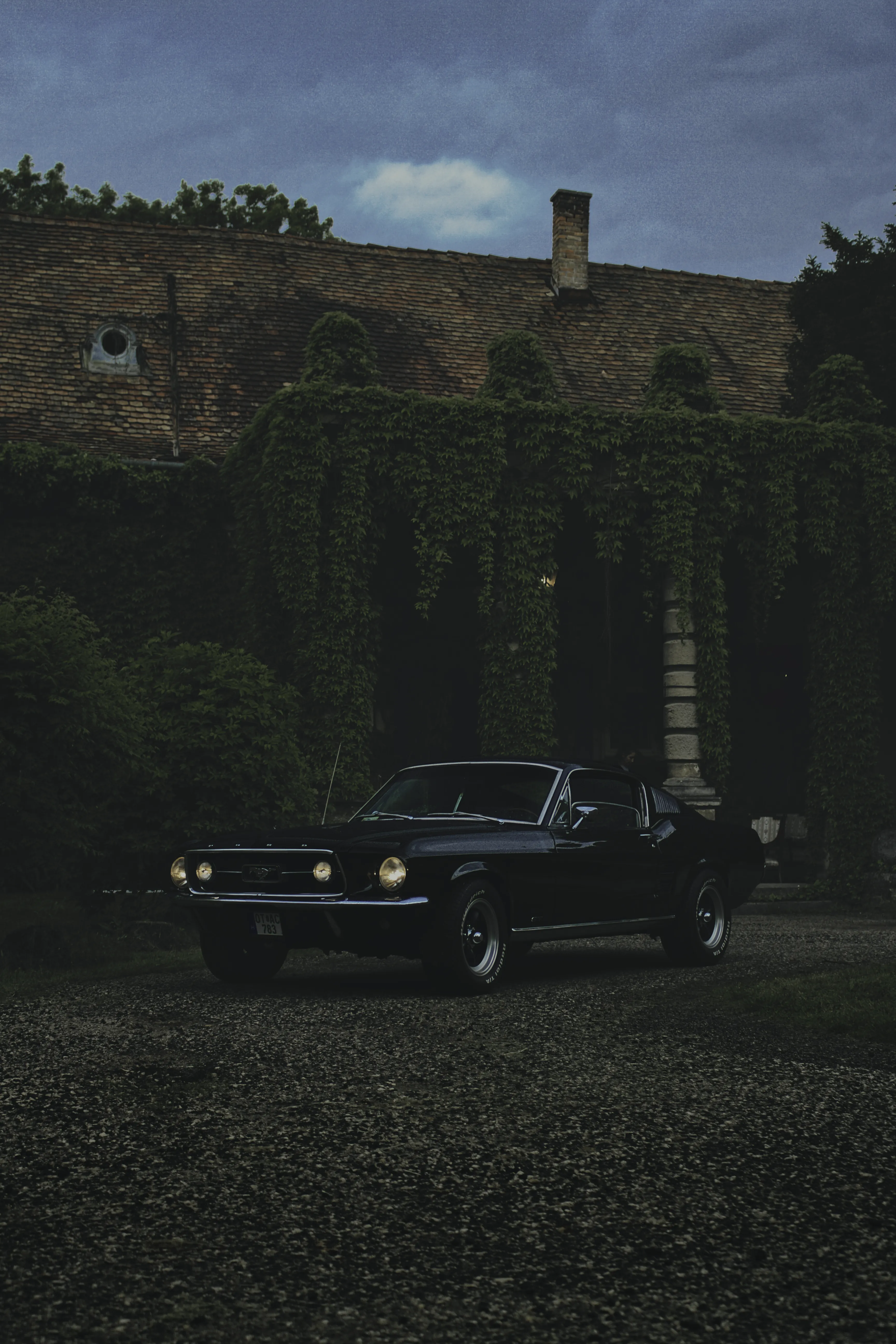 Authentic Majális 2025 102