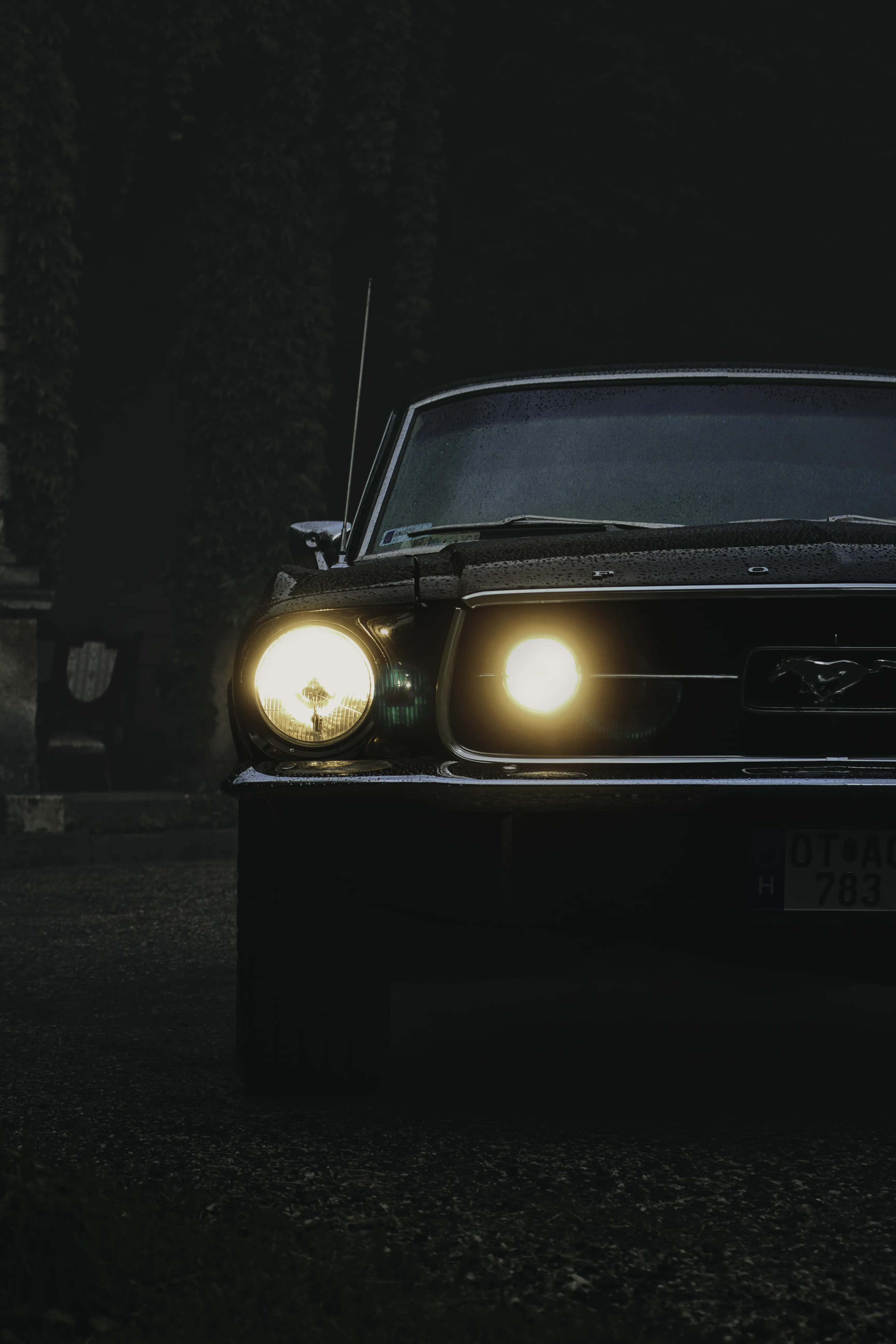 Authentic Majális 2025 101