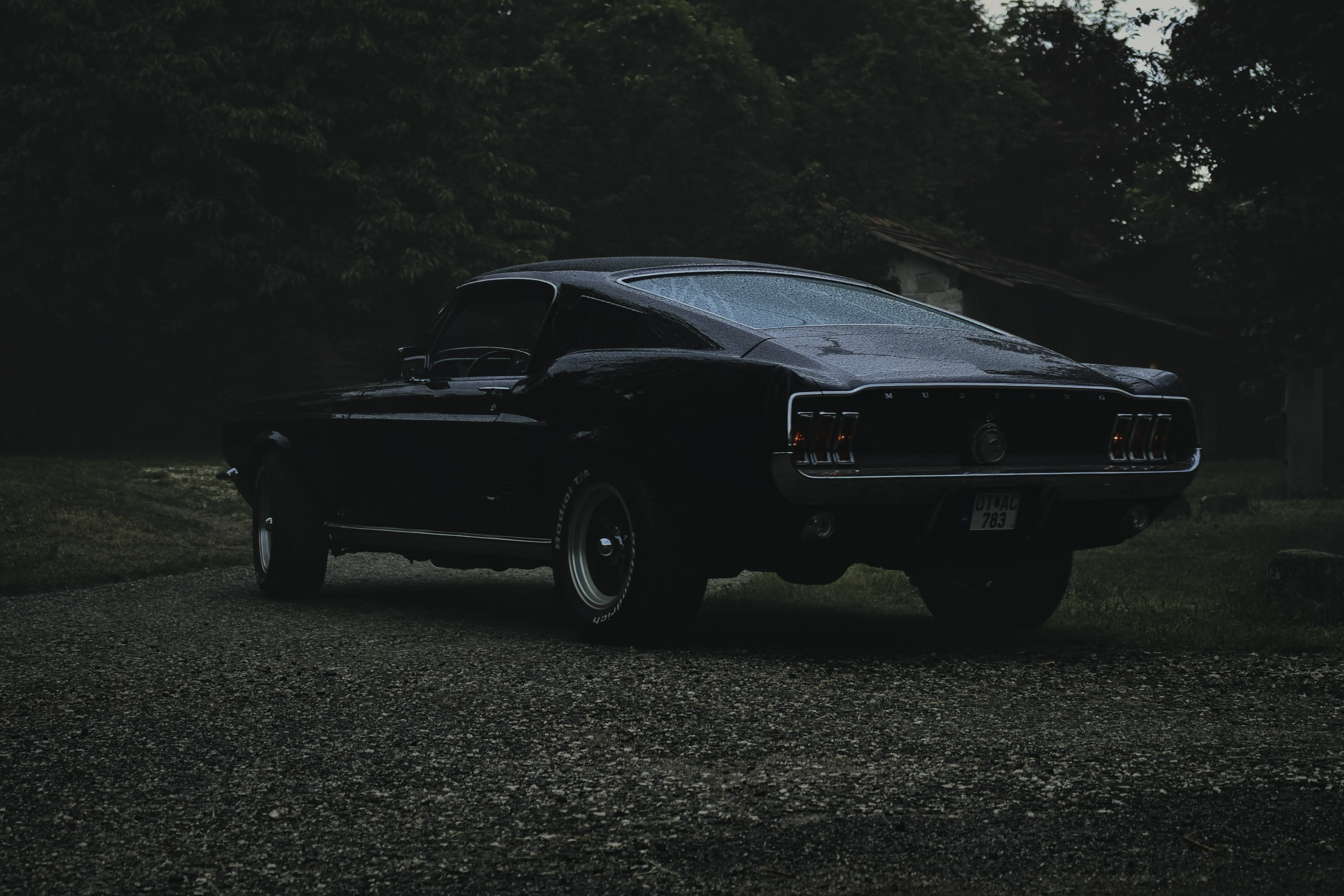 Authentic Majális 2025 100