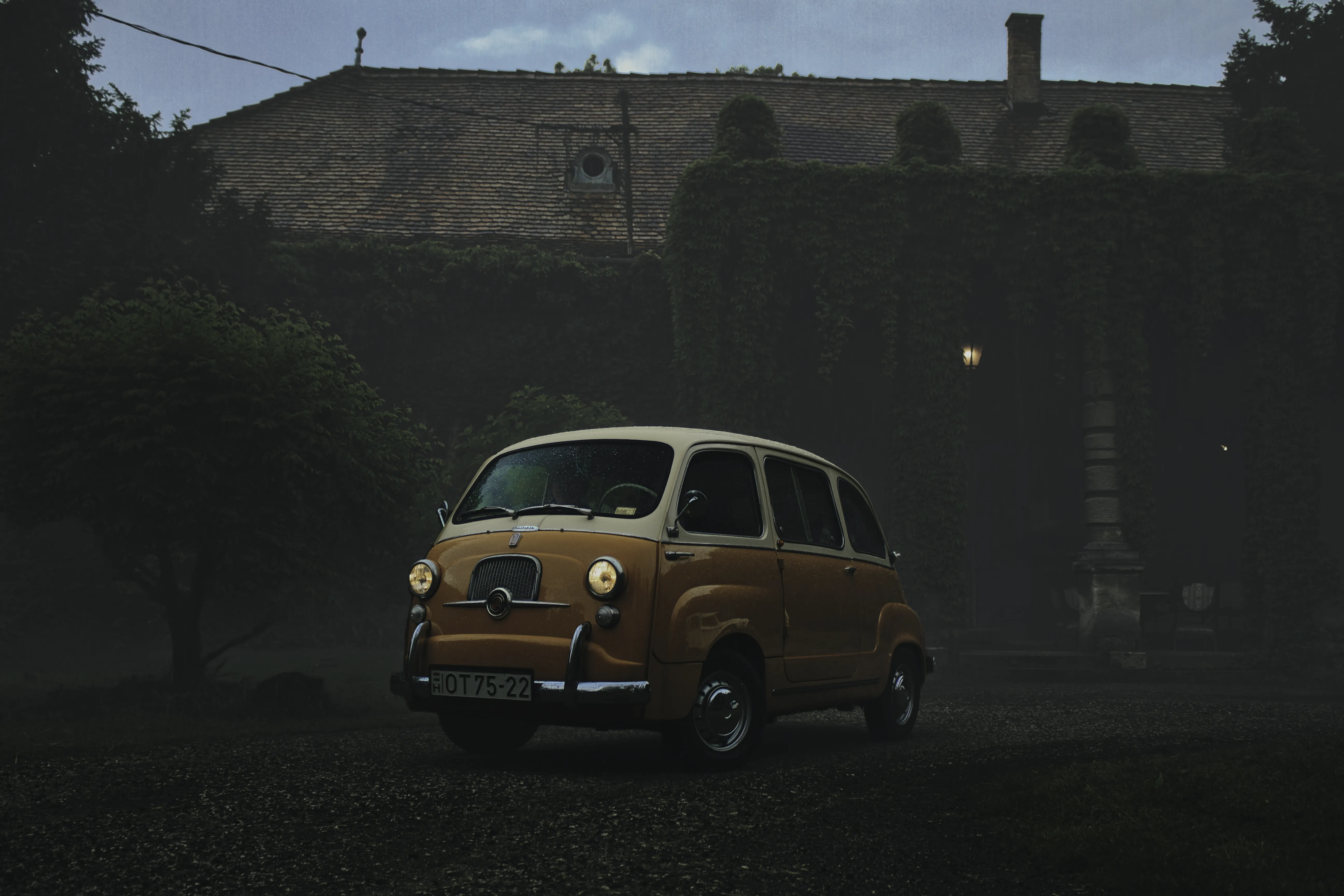 Authentic Majális 2025 88