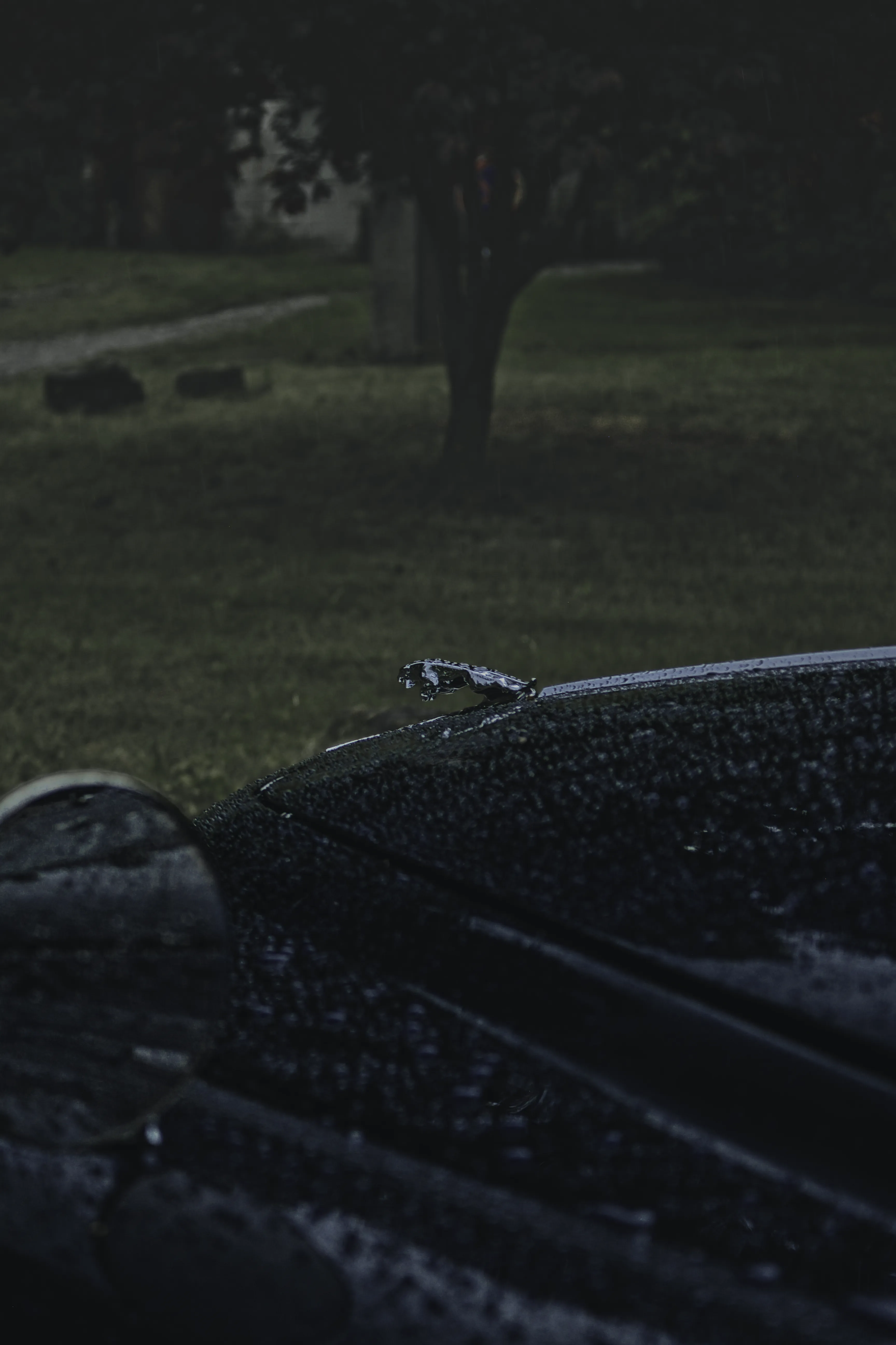 Authentic Majális 2025 85