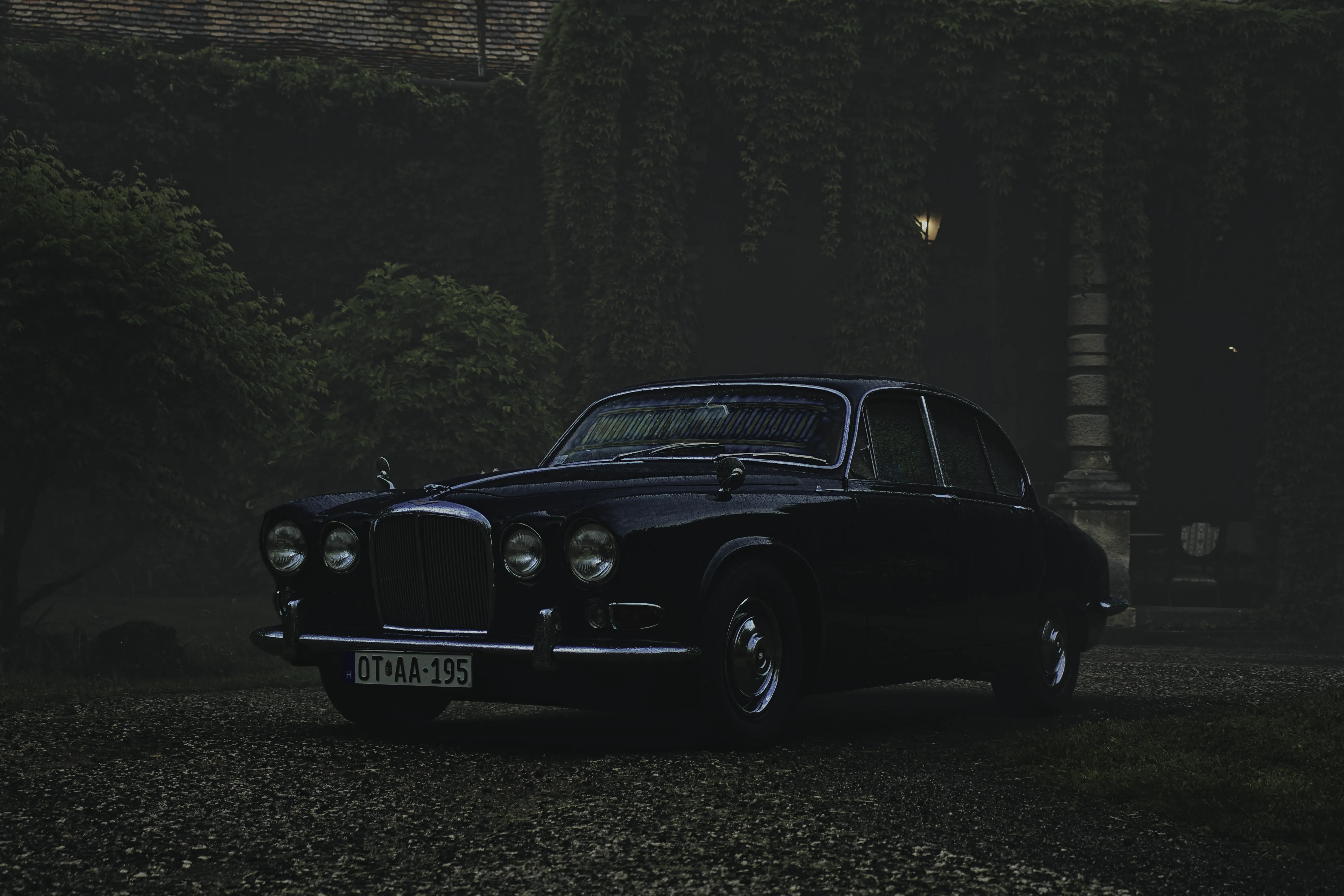 Authentic Majális 2025 84