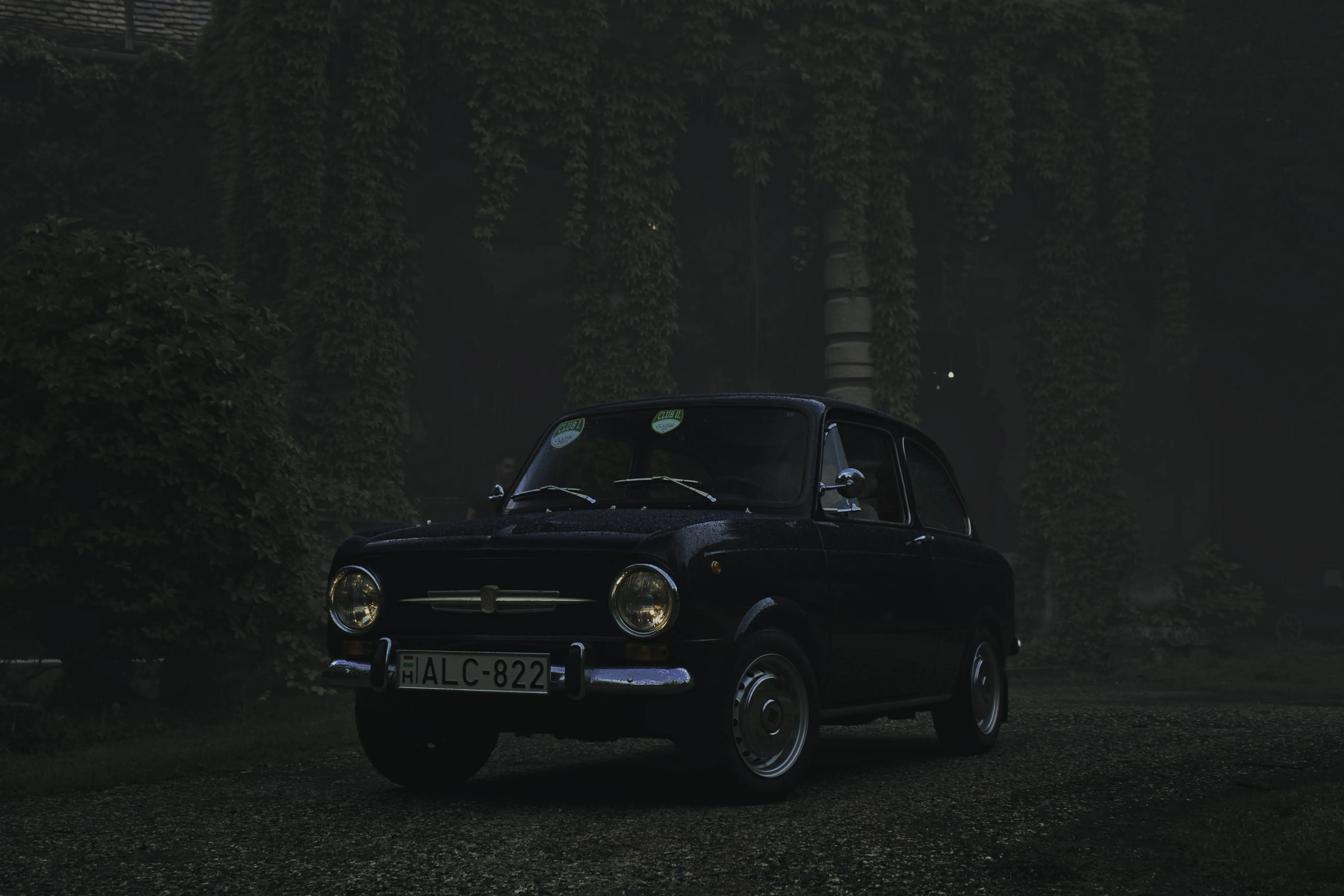 Authentic Majális 2025 81