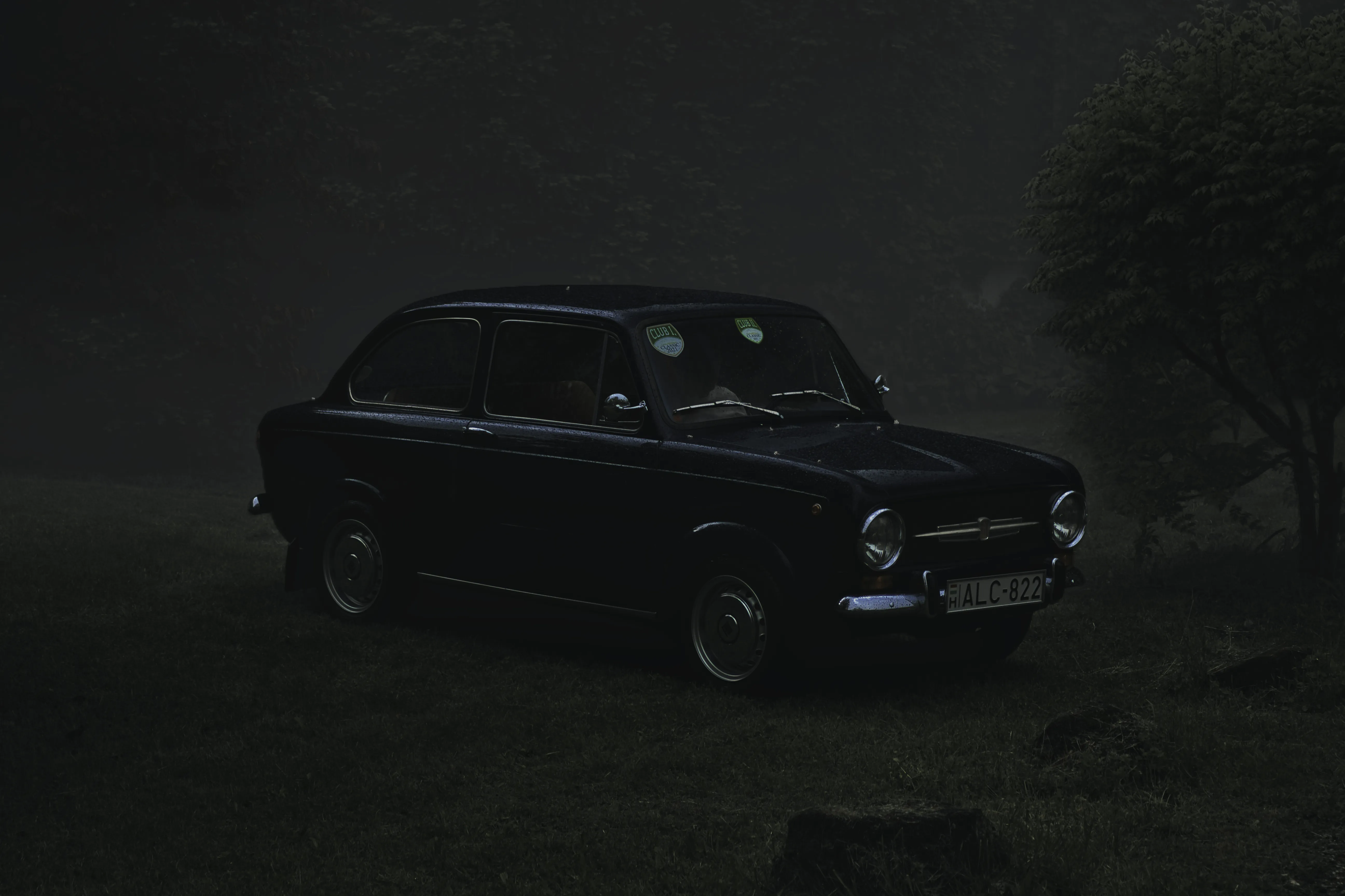 Authentic Majális 2025 80