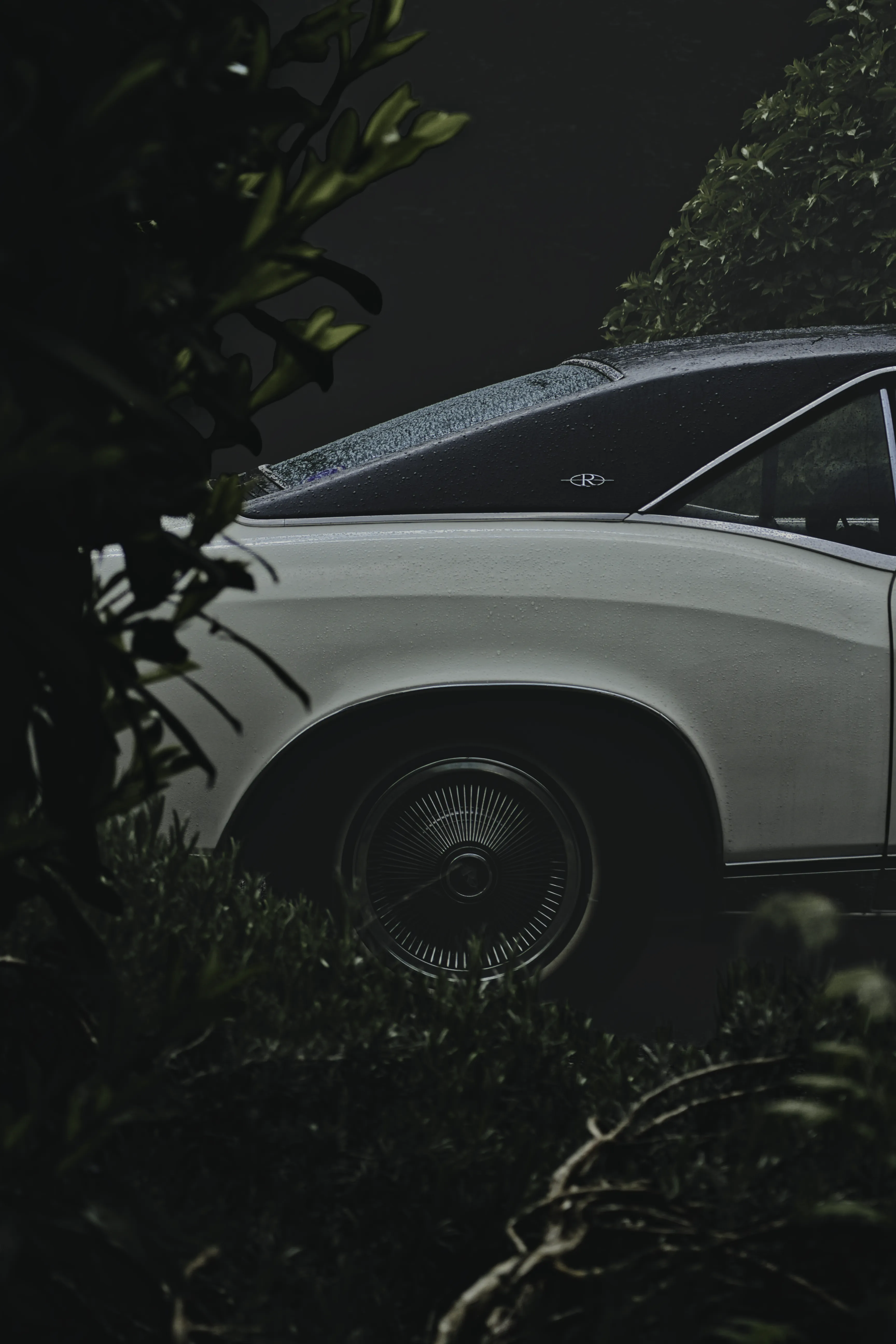 Authentic Majális 2025 77