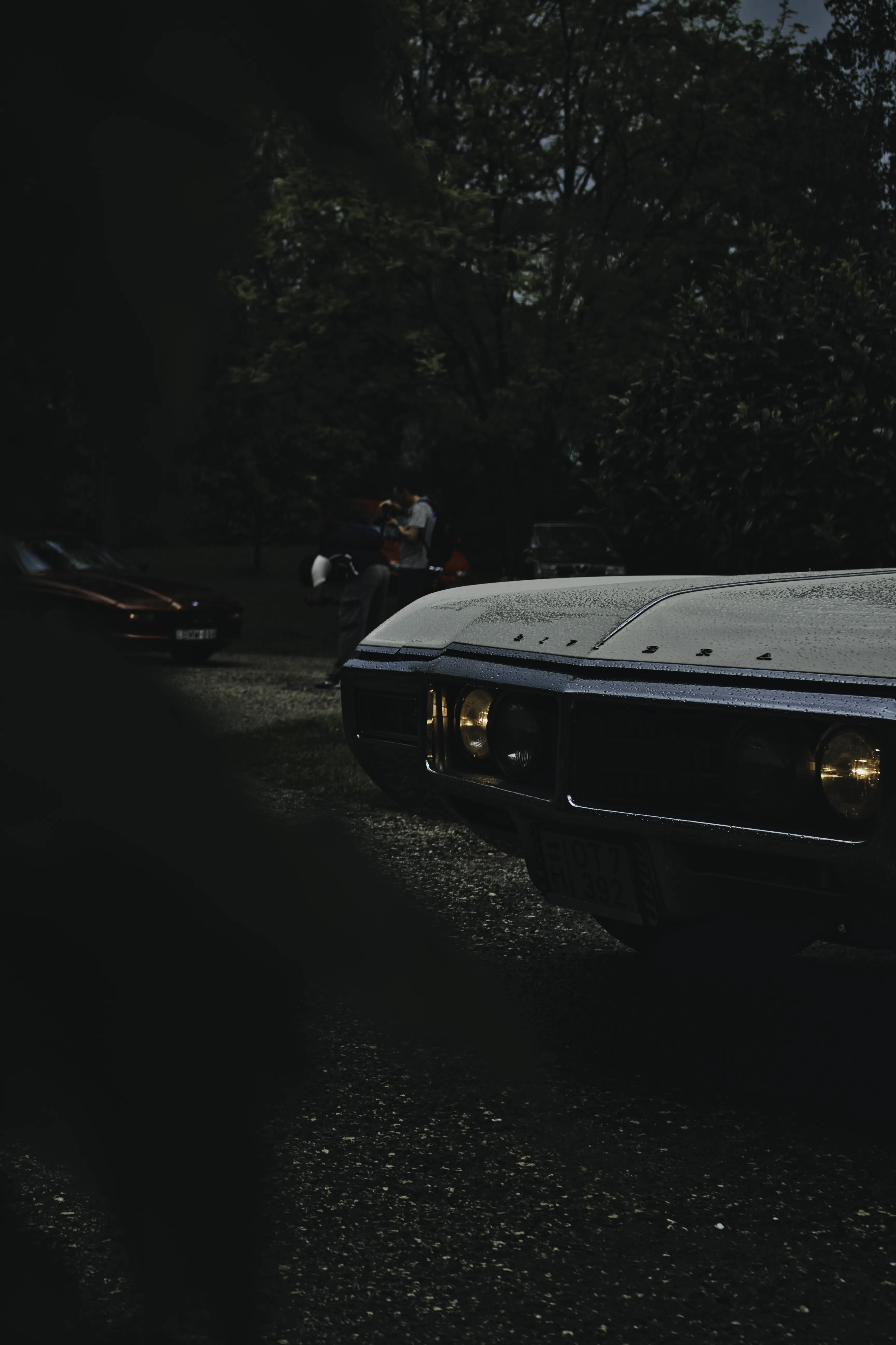 Authentic Majális 2025 74