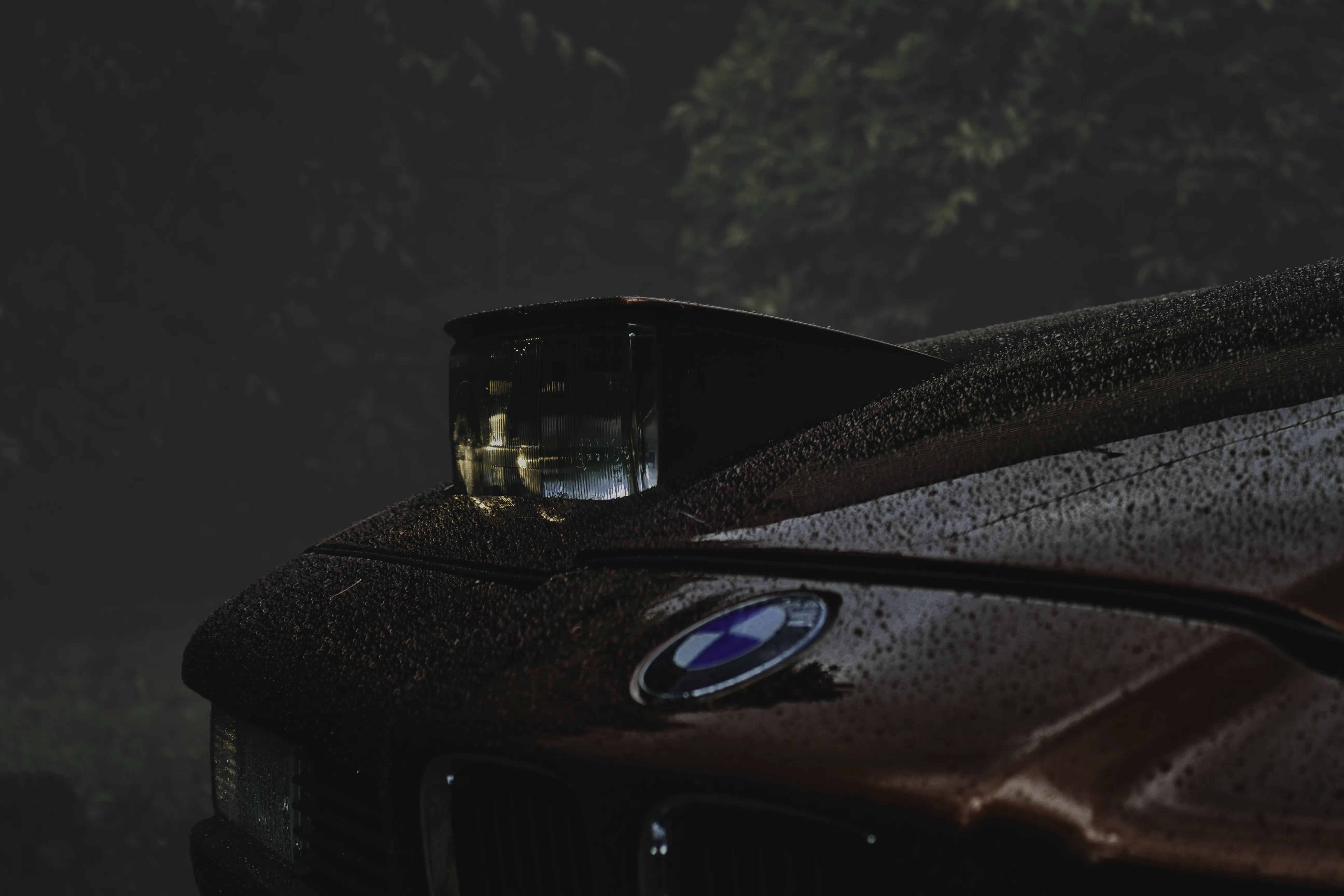 Authentic Majális 2025 71