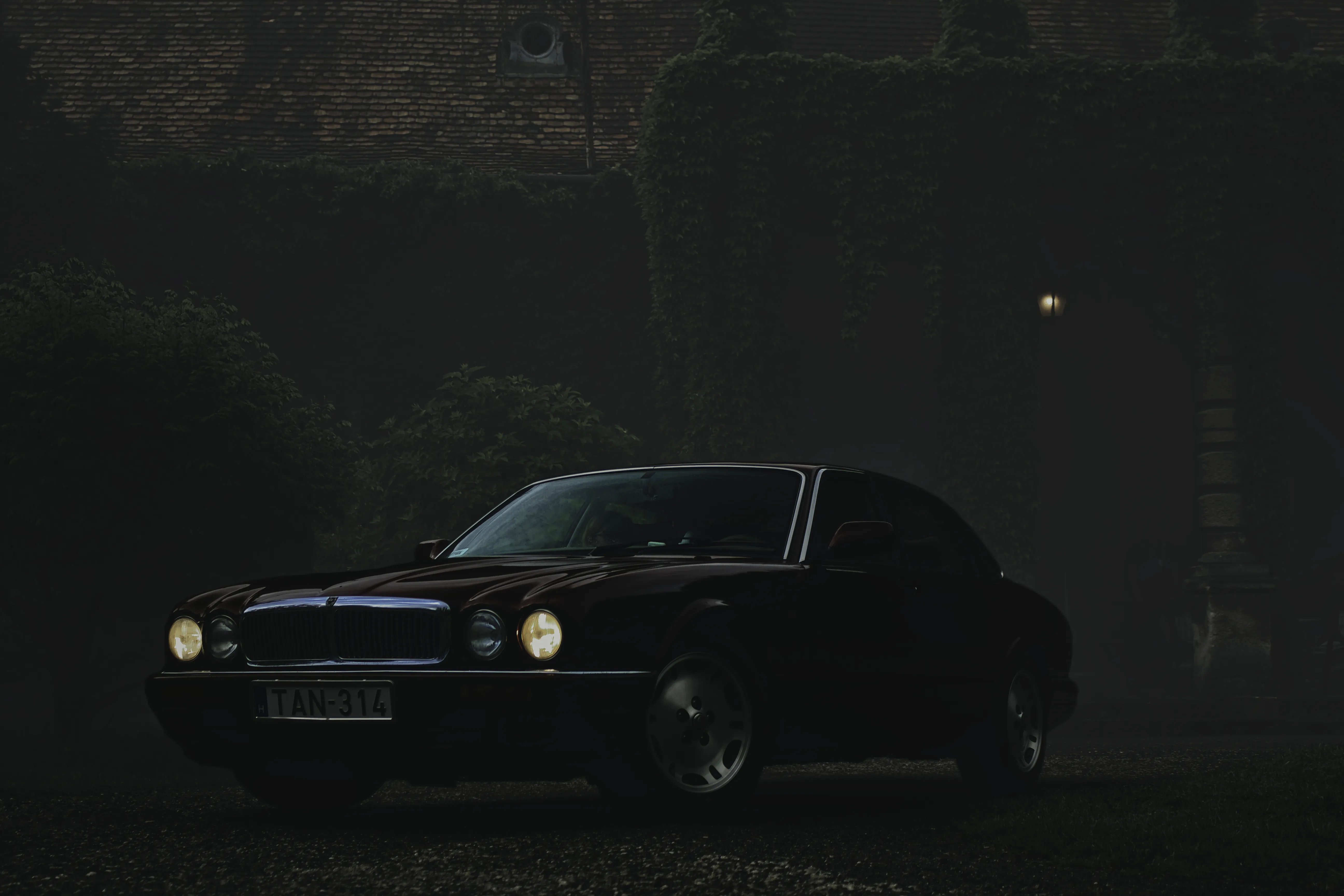 Authentic Majális 2025 61