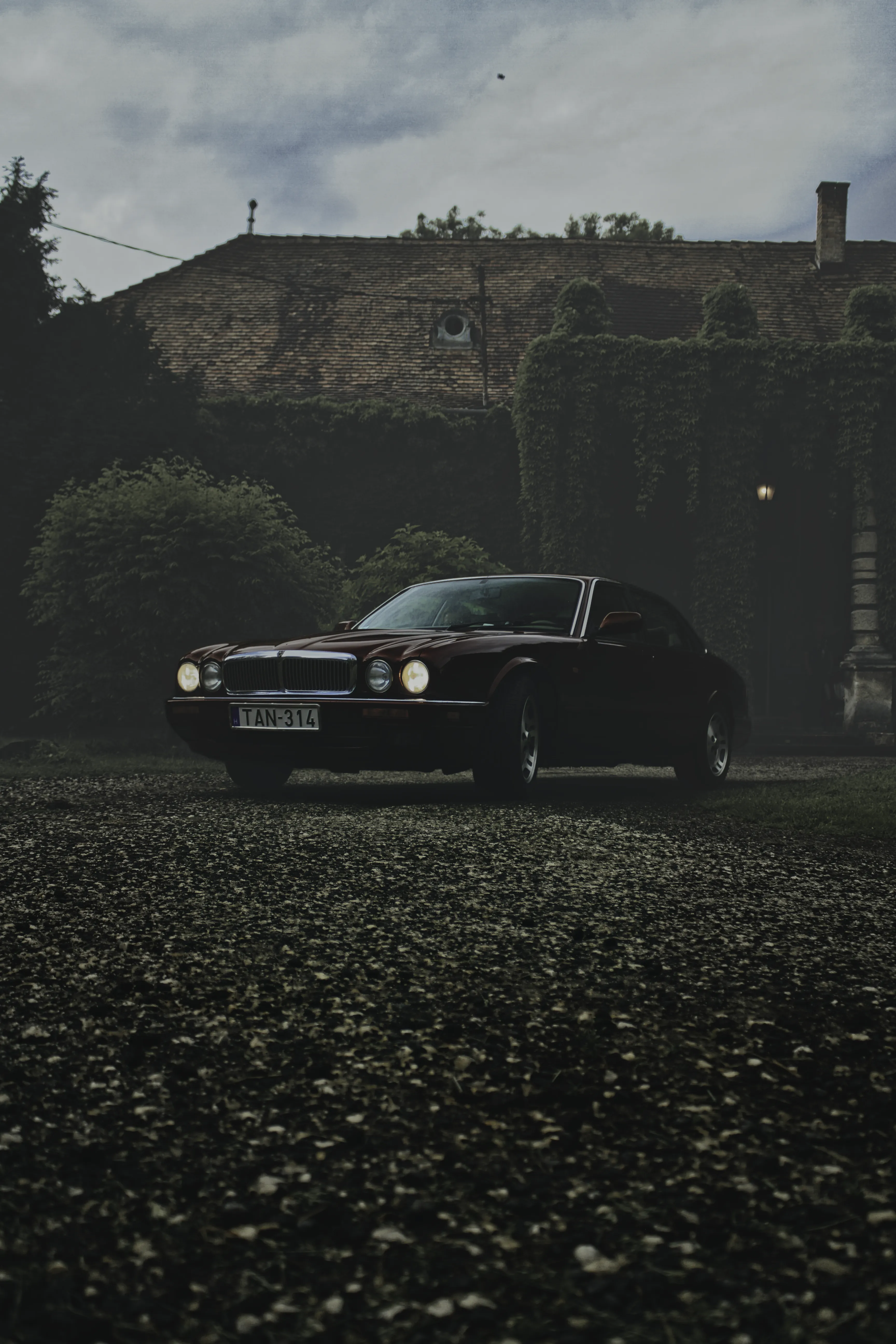 Authentic Majális 2025 60