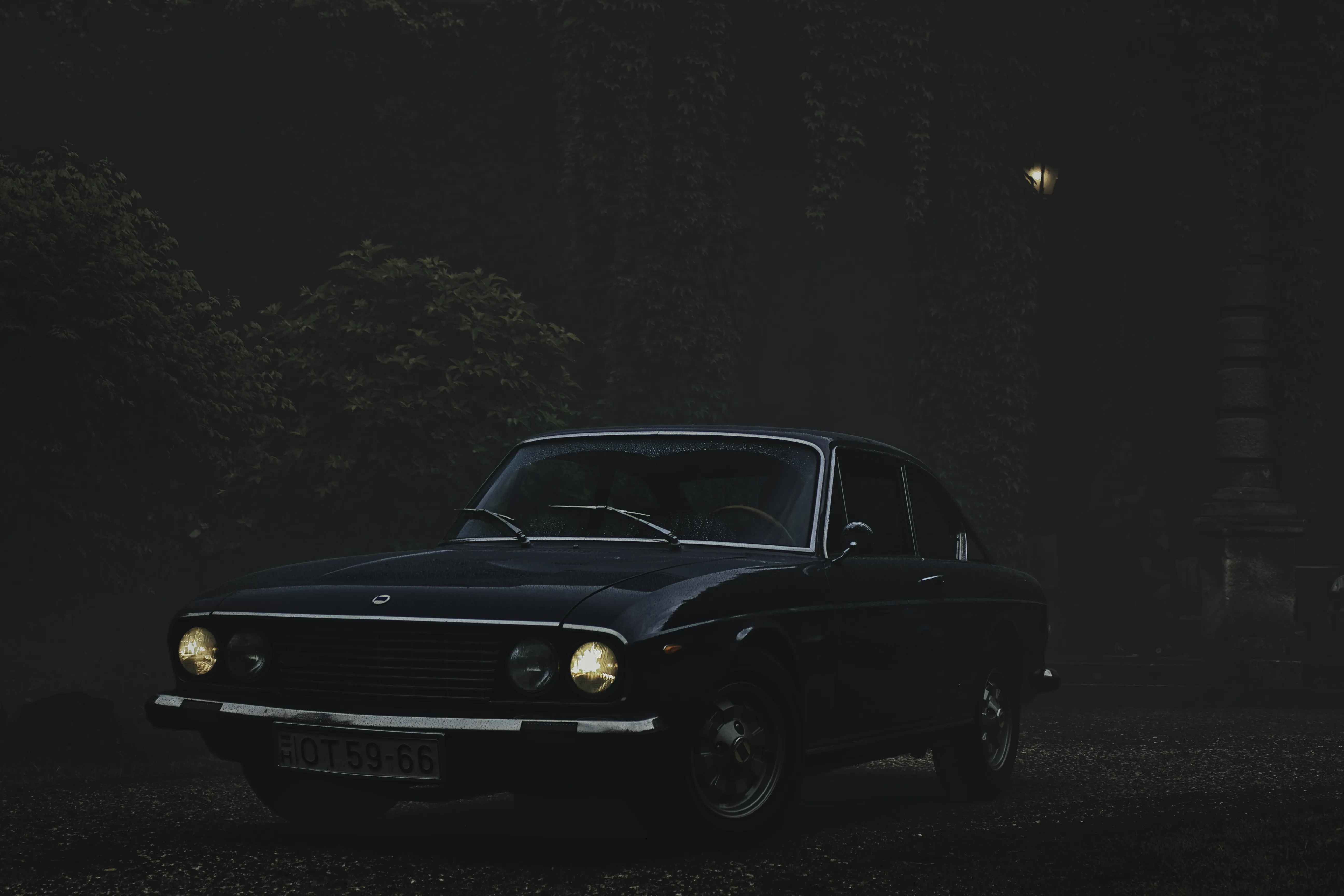 Authentic Majális 2025 42