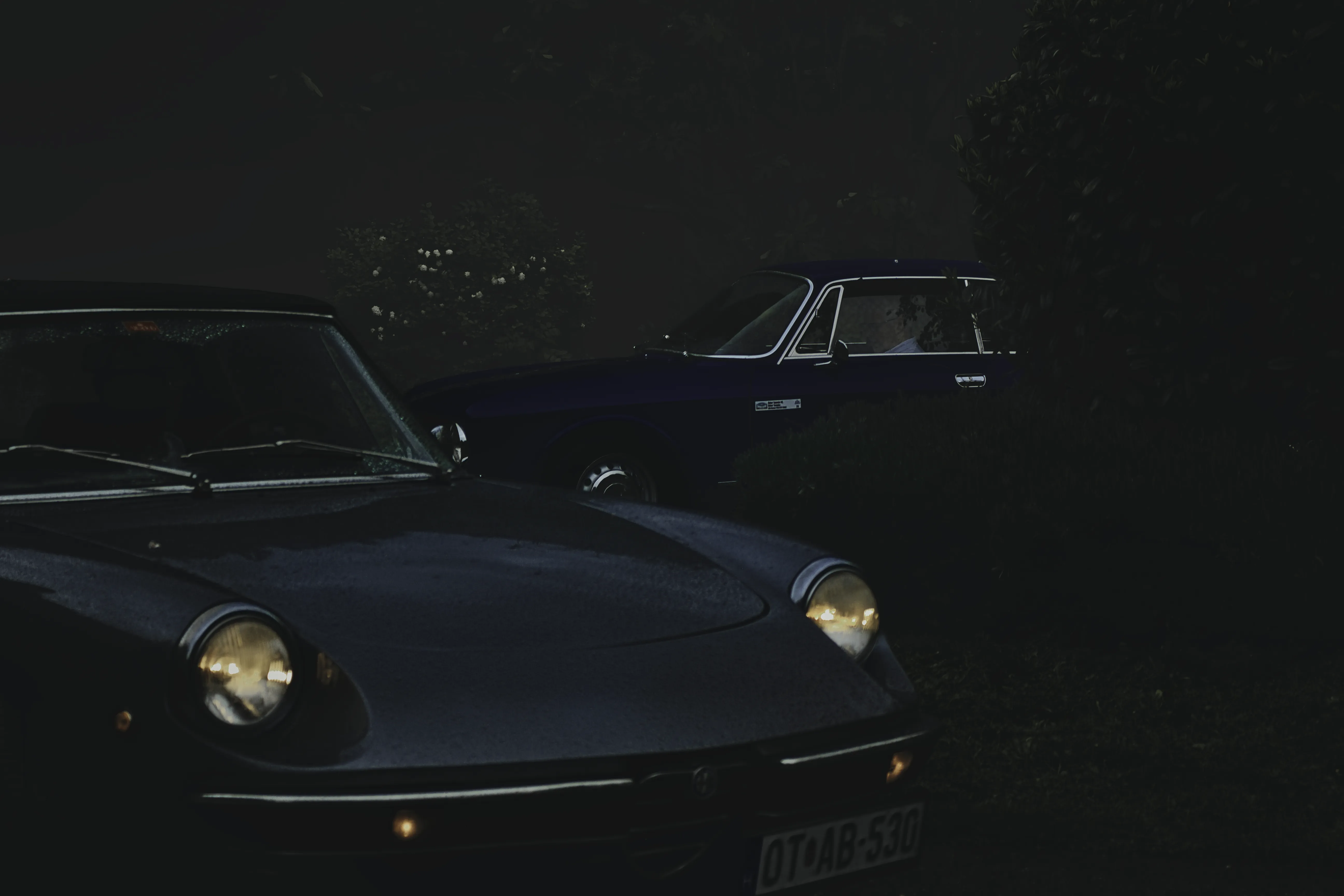 Authentic Majális 2025 38