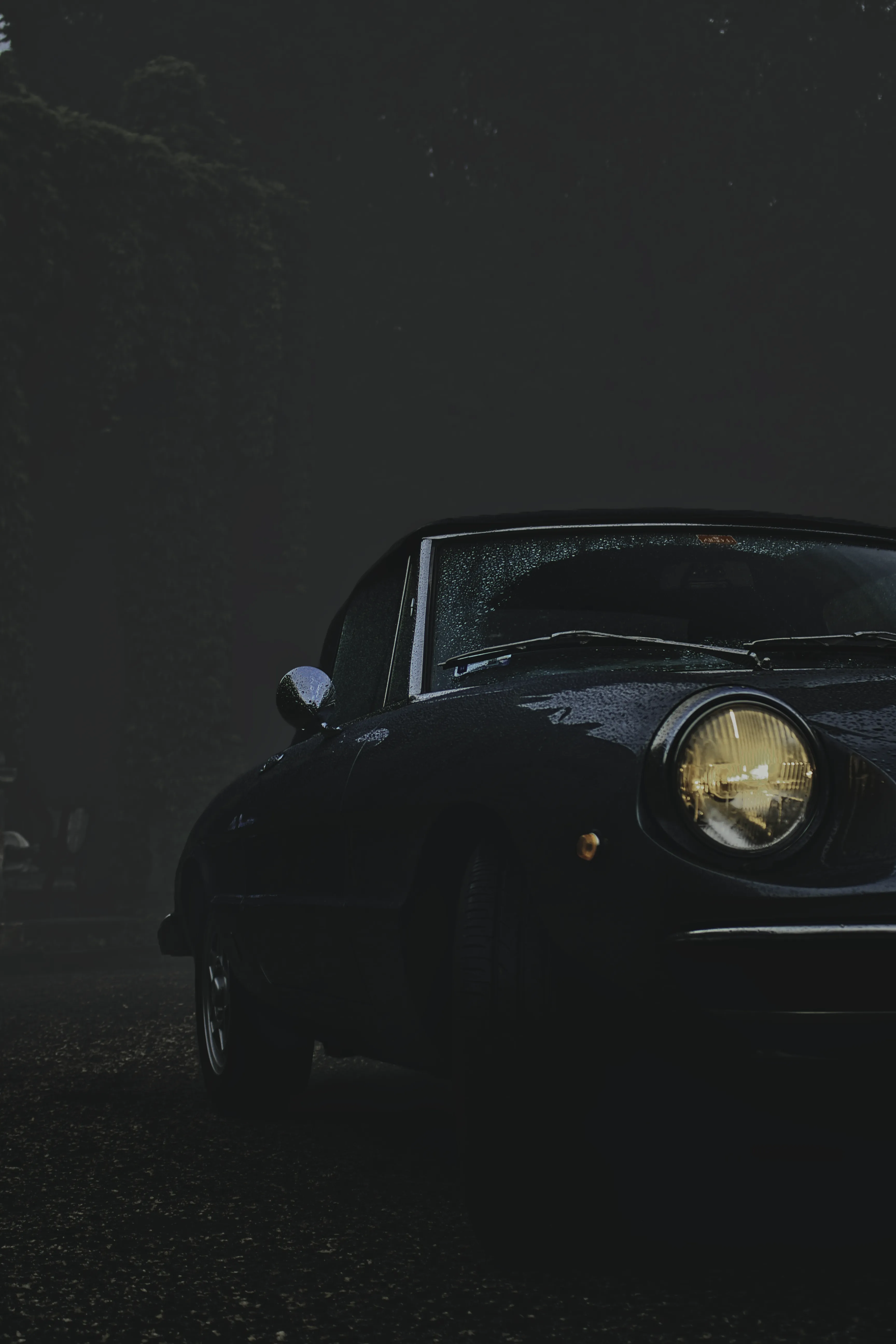 Authentic Majális 2025 37