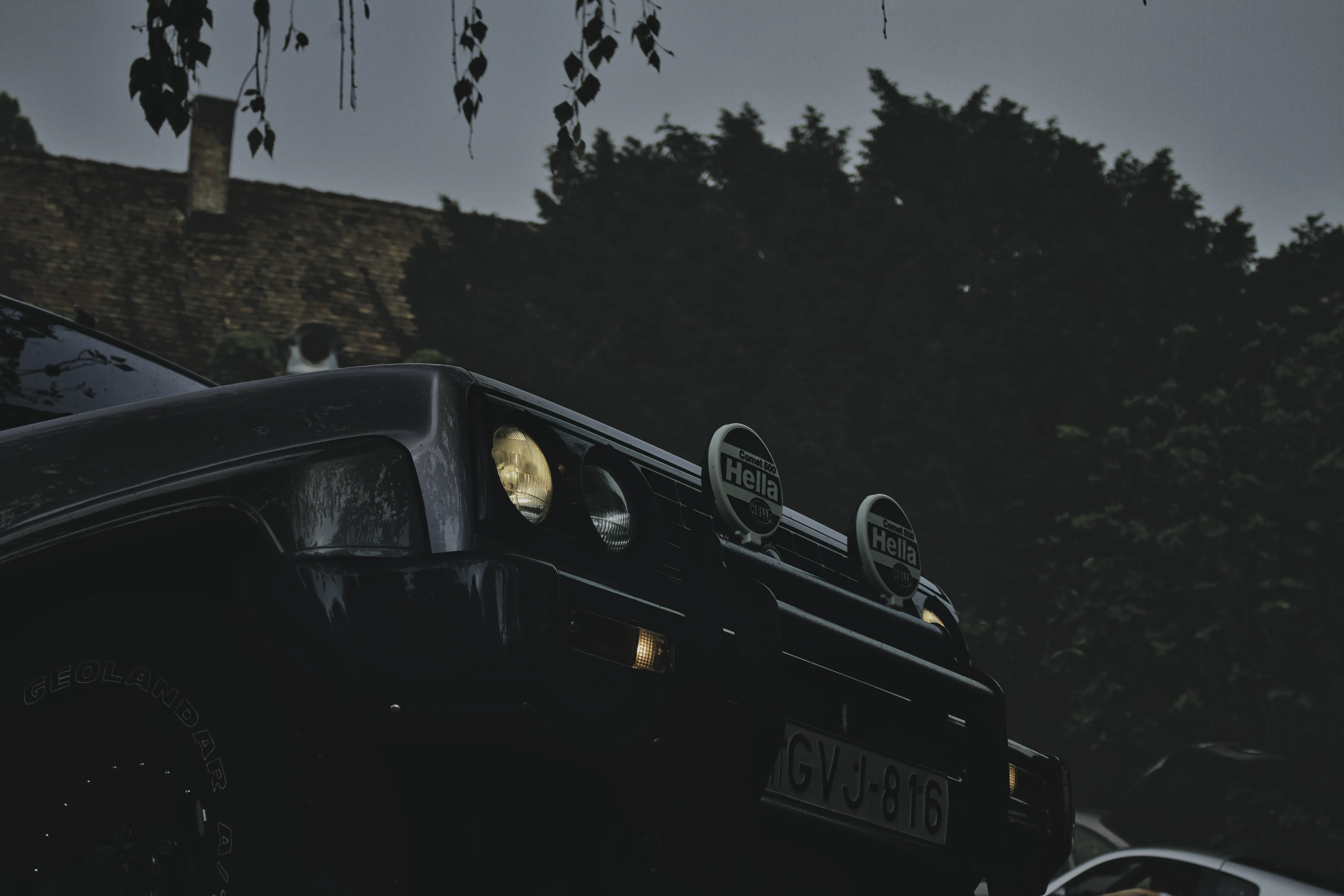 Authentic Majális 2025 32