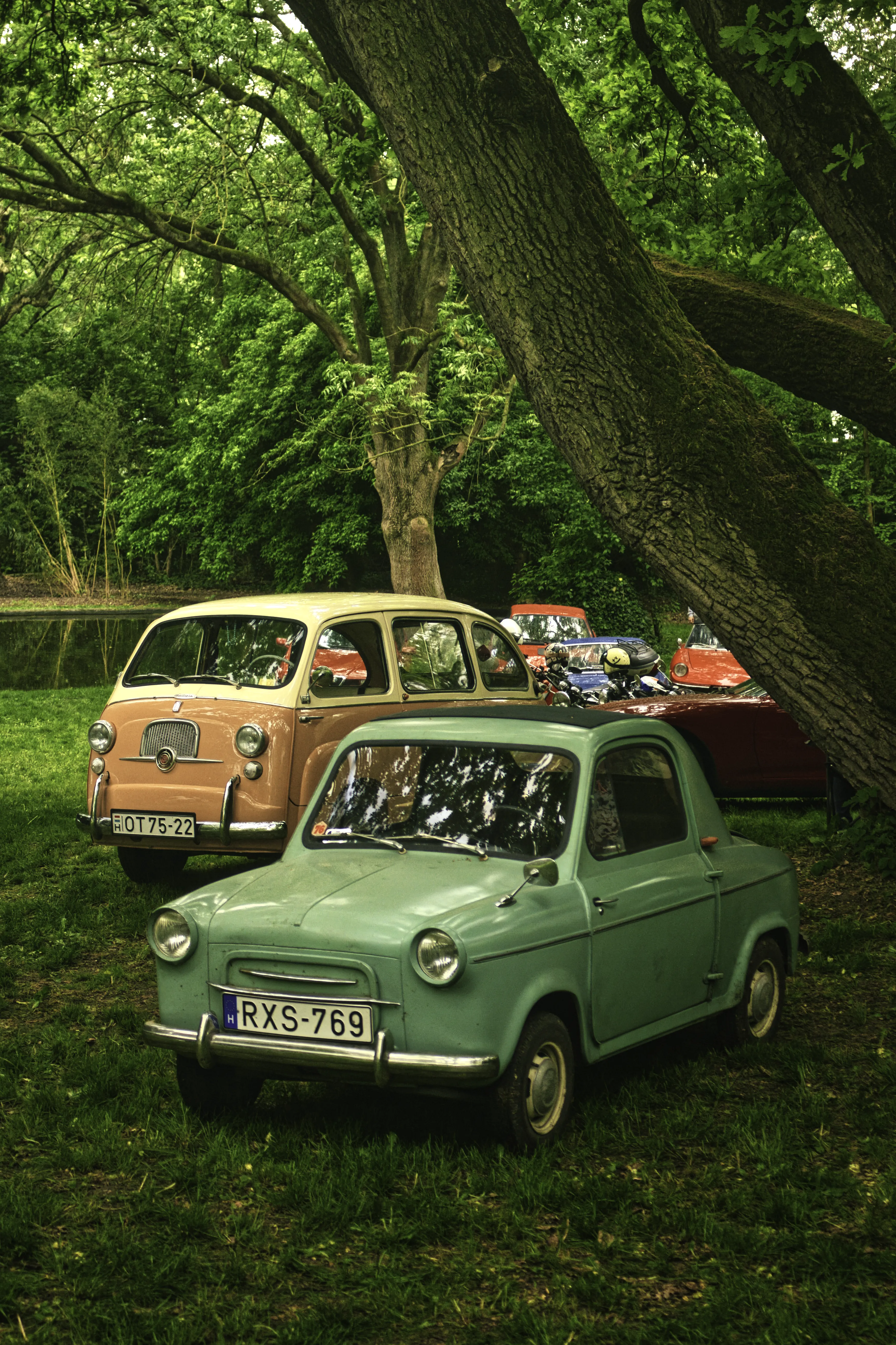 Authentic Majális 2025 14