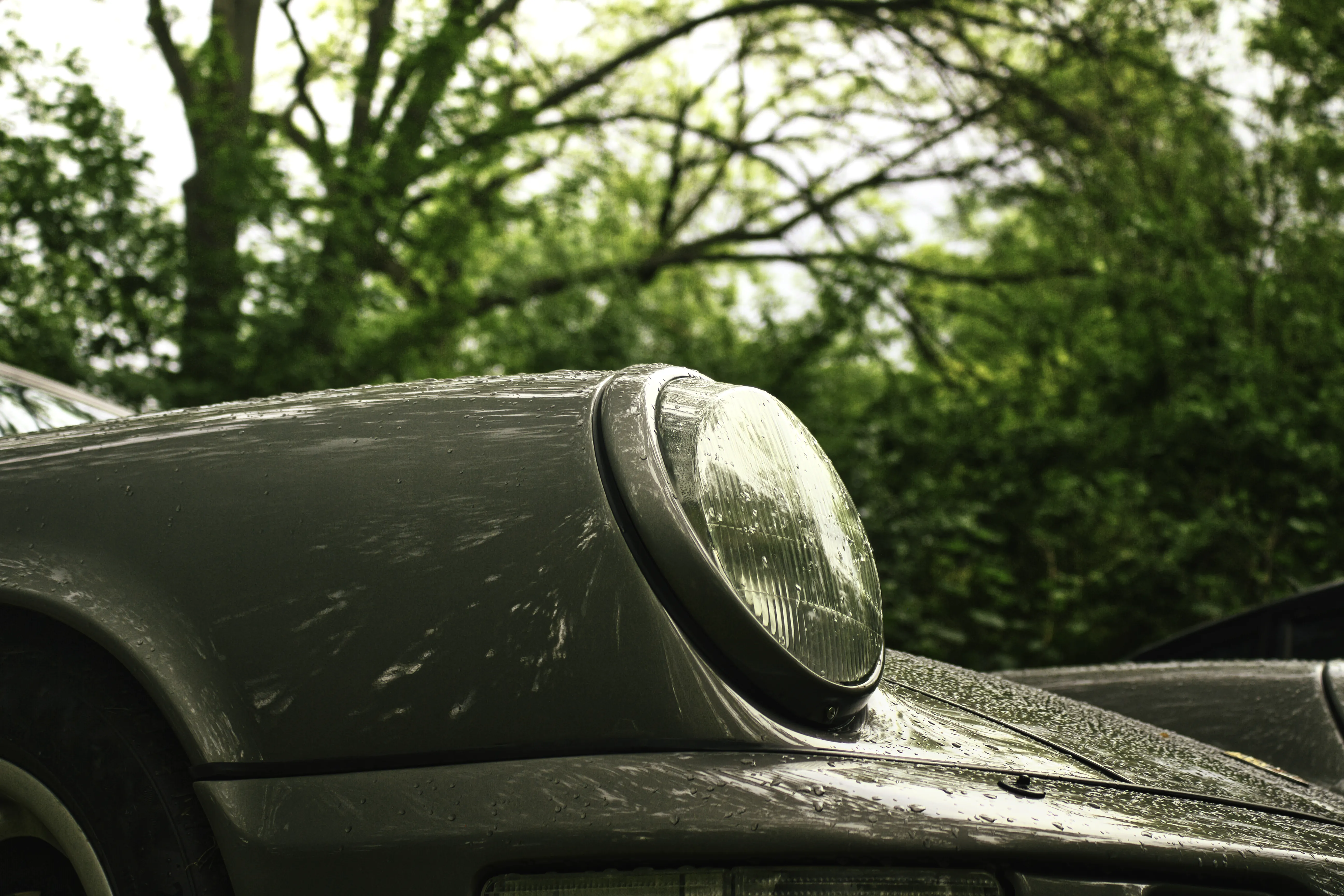 Authentic Majális 2025 12