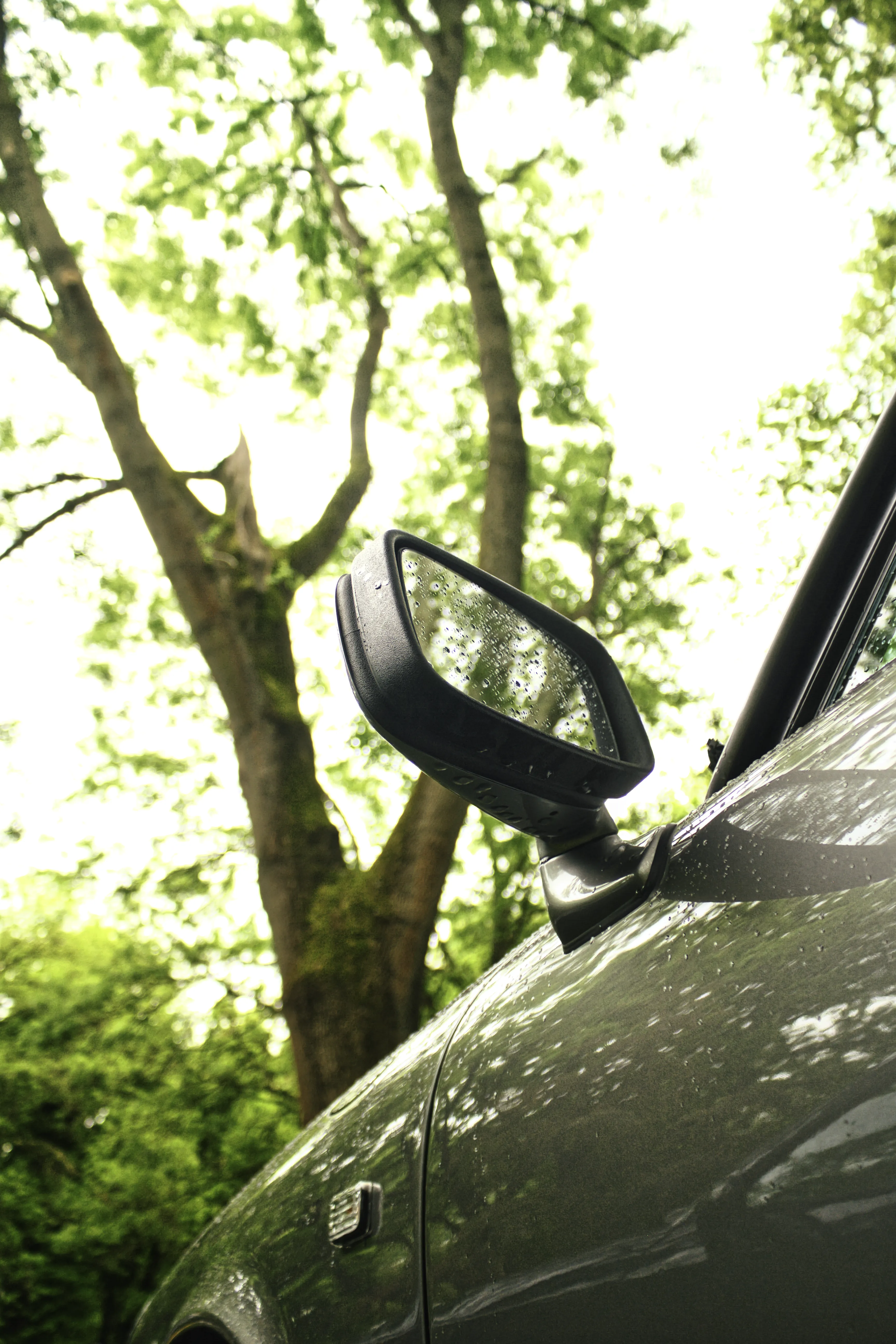 Authentic Majális 2025 10