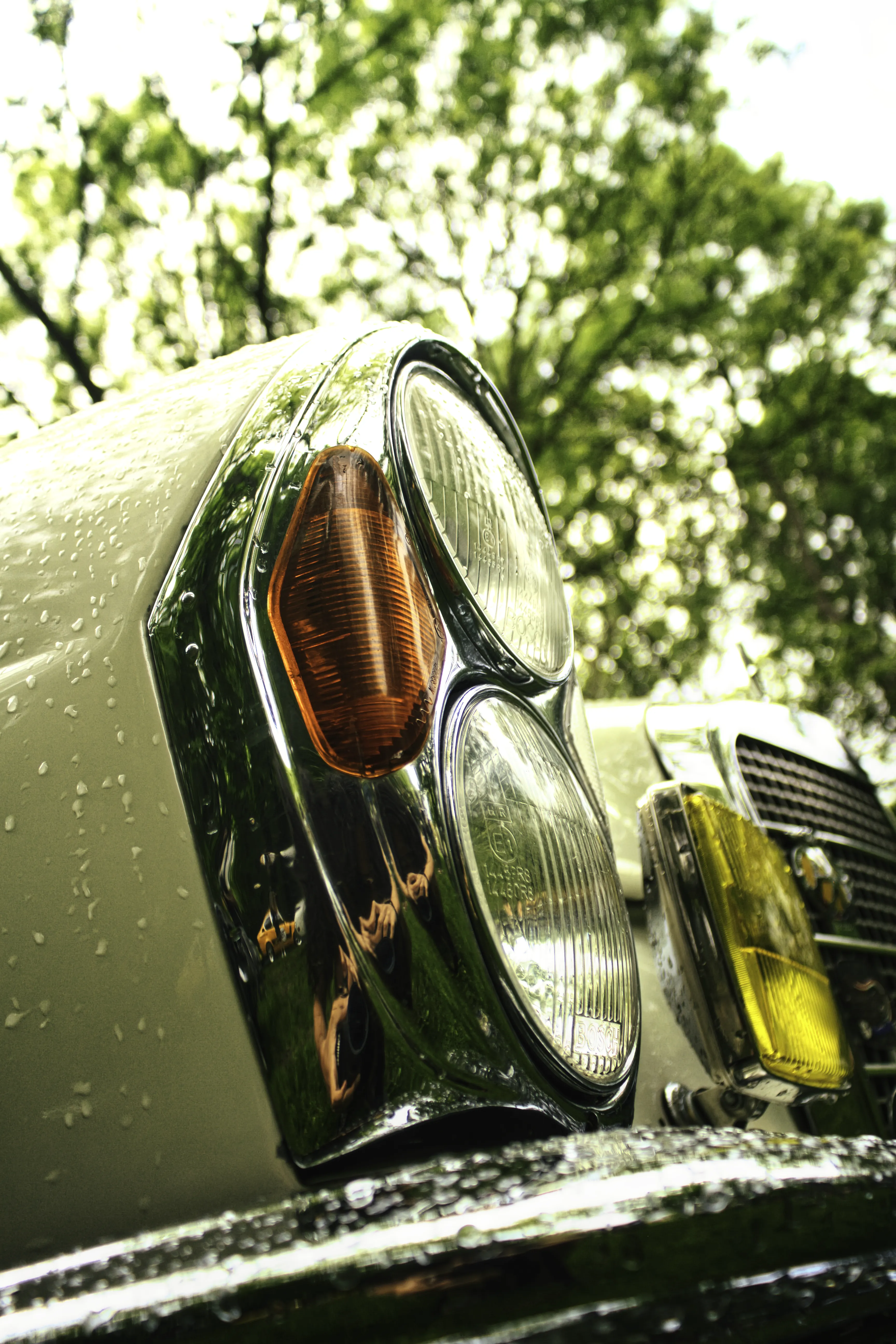 Authentic Majális 2025 8