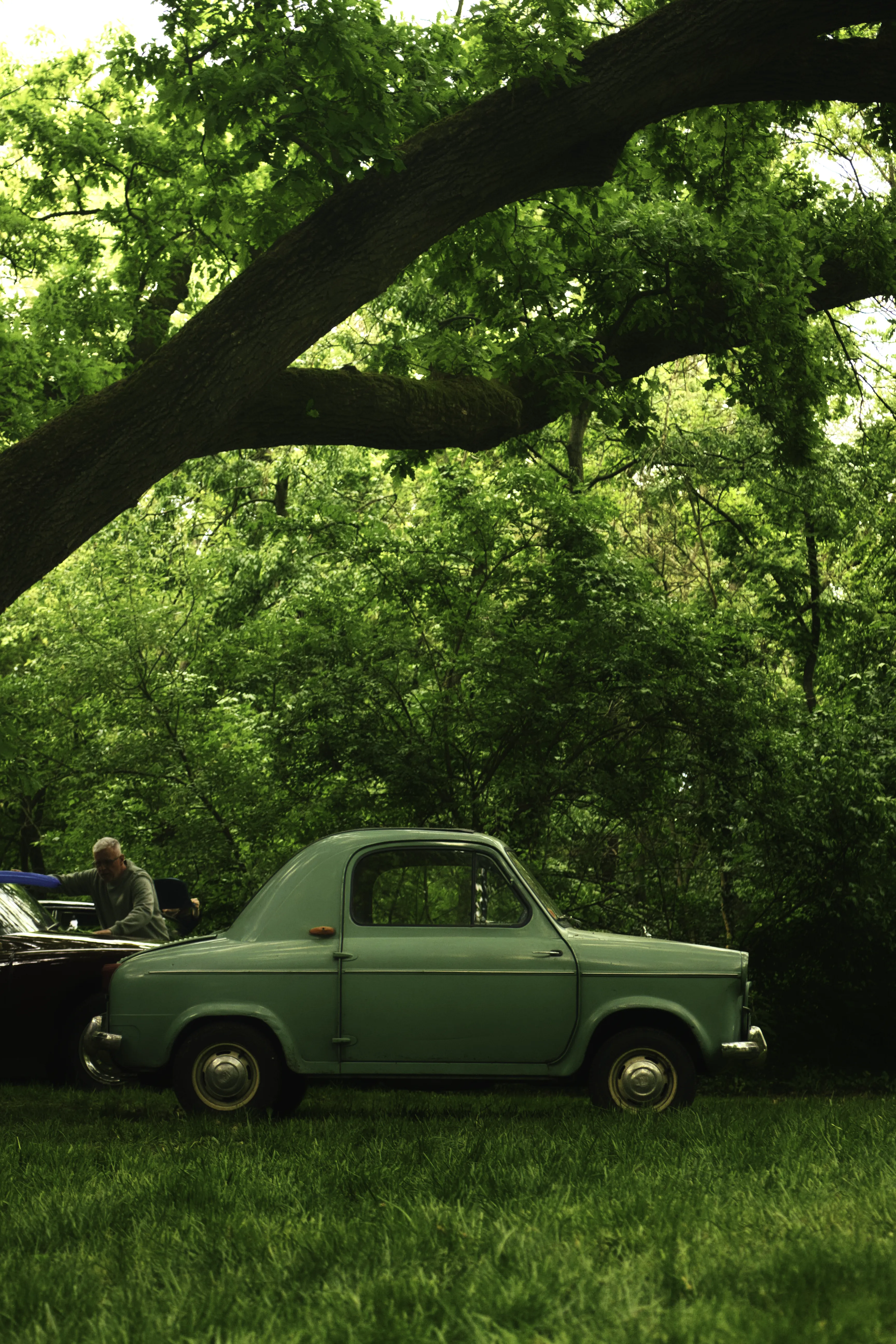 Authentic Majális 2025 4