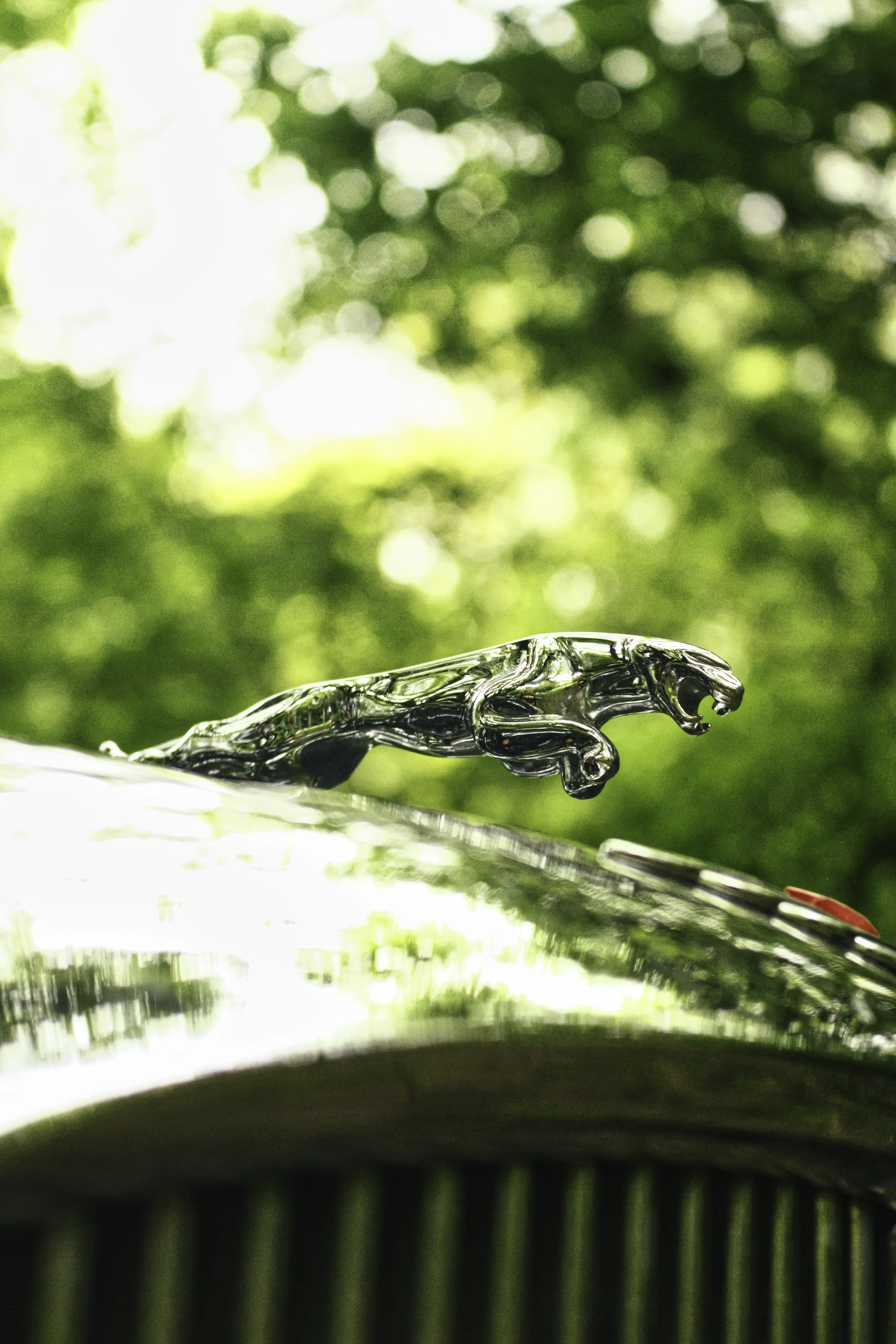 Authentic Majális 2025 3