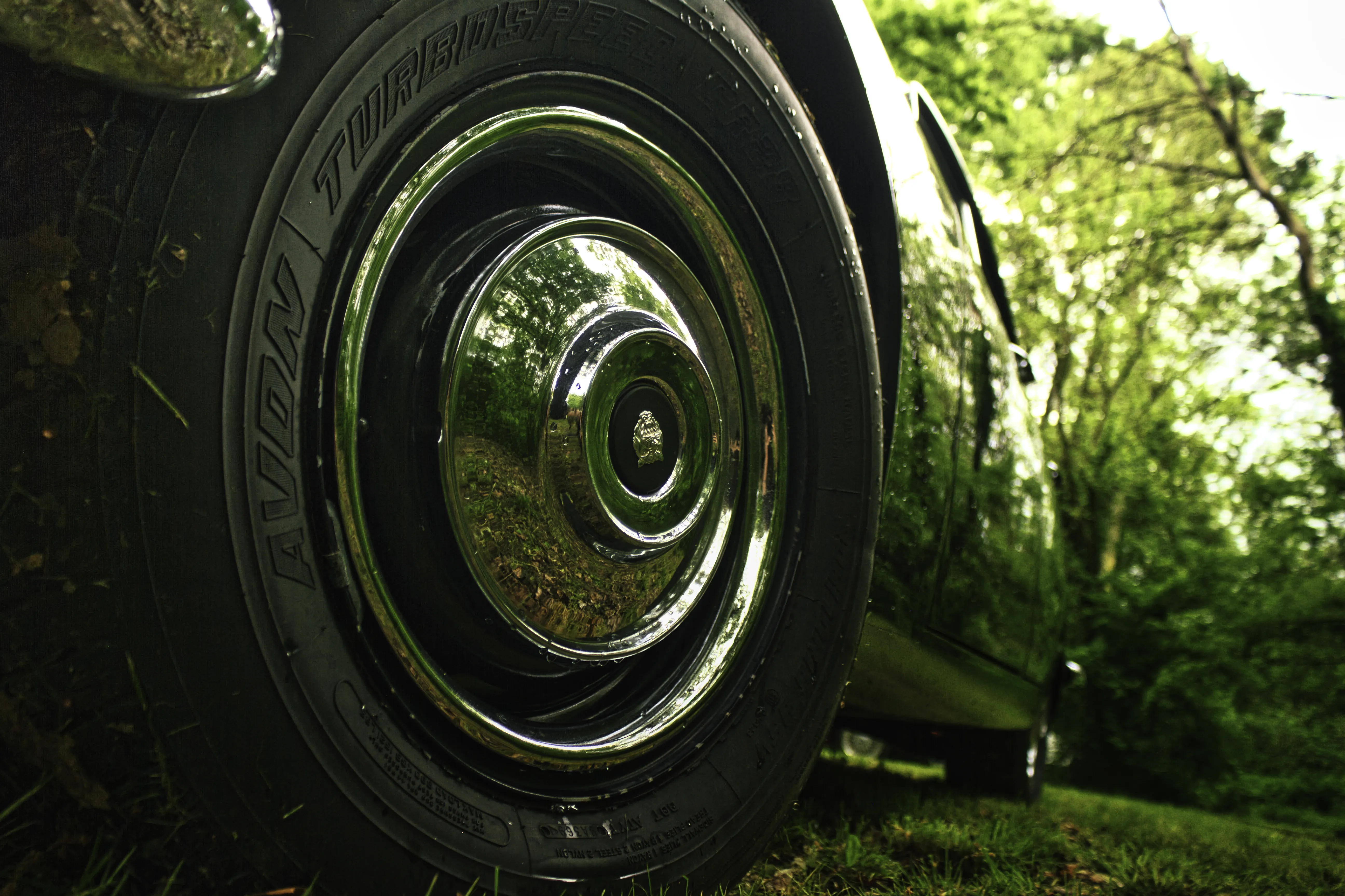 Authentic Majális 2025 2