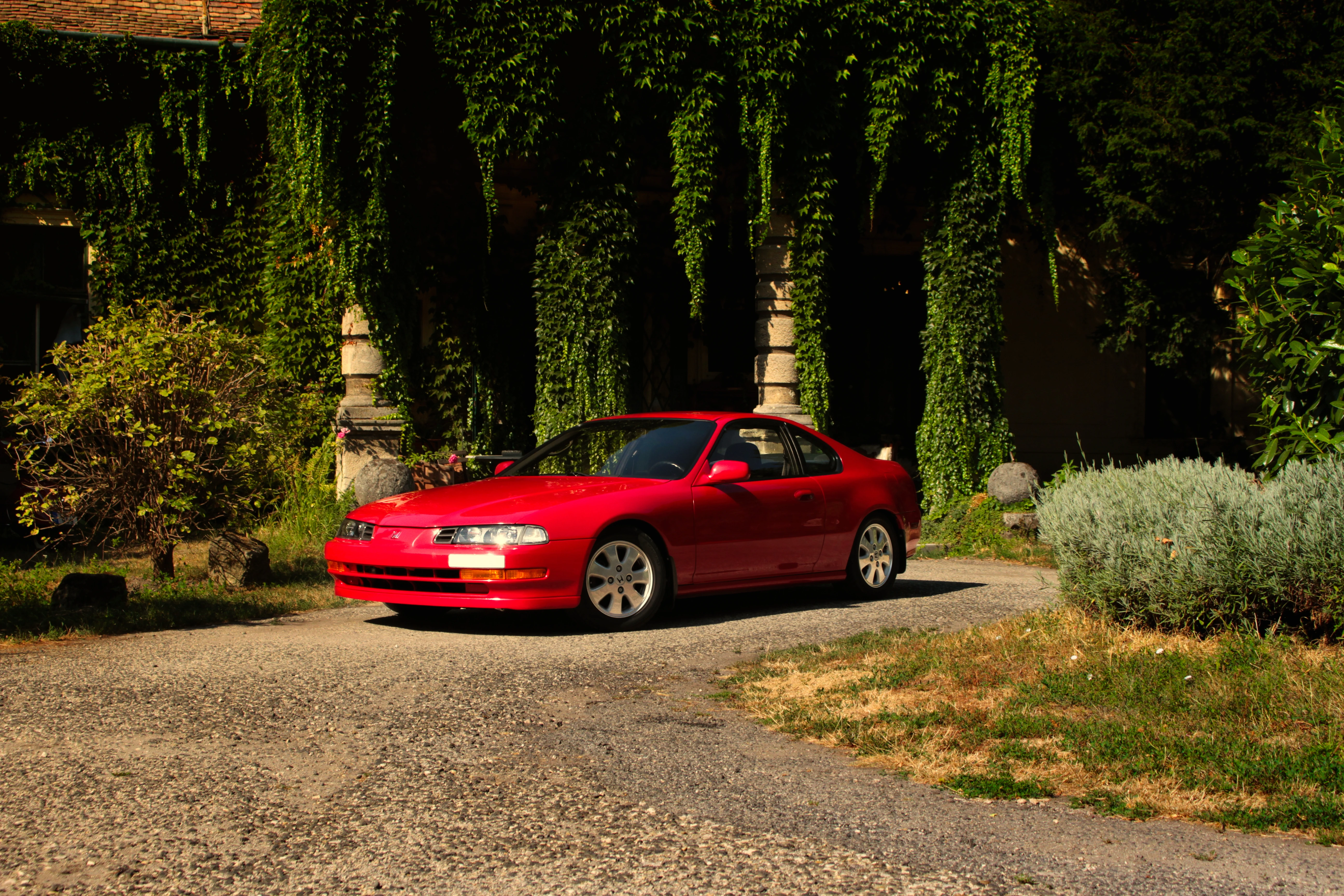 Authentic Picnic 2024 57