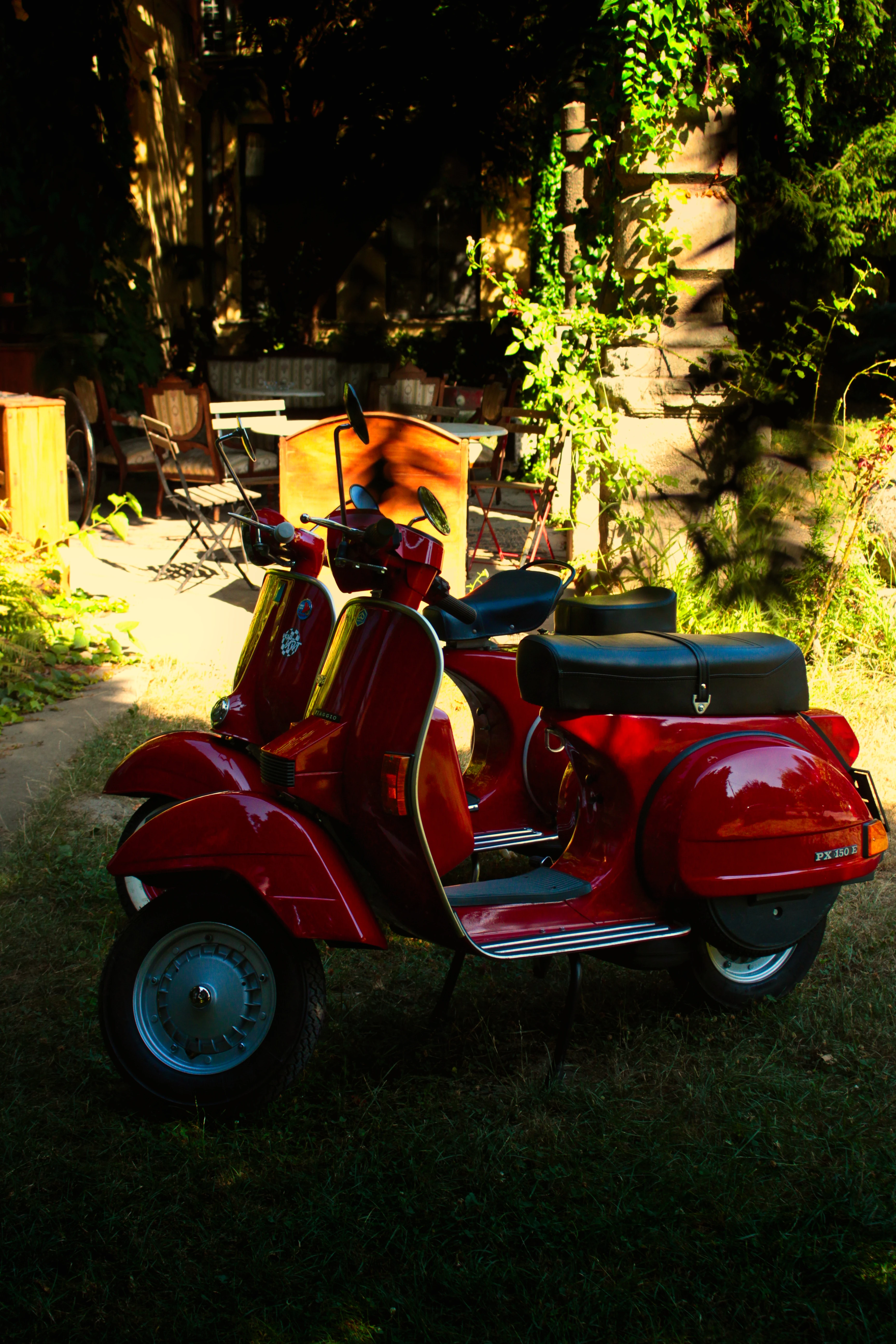 Authentic Picnic 2024 56