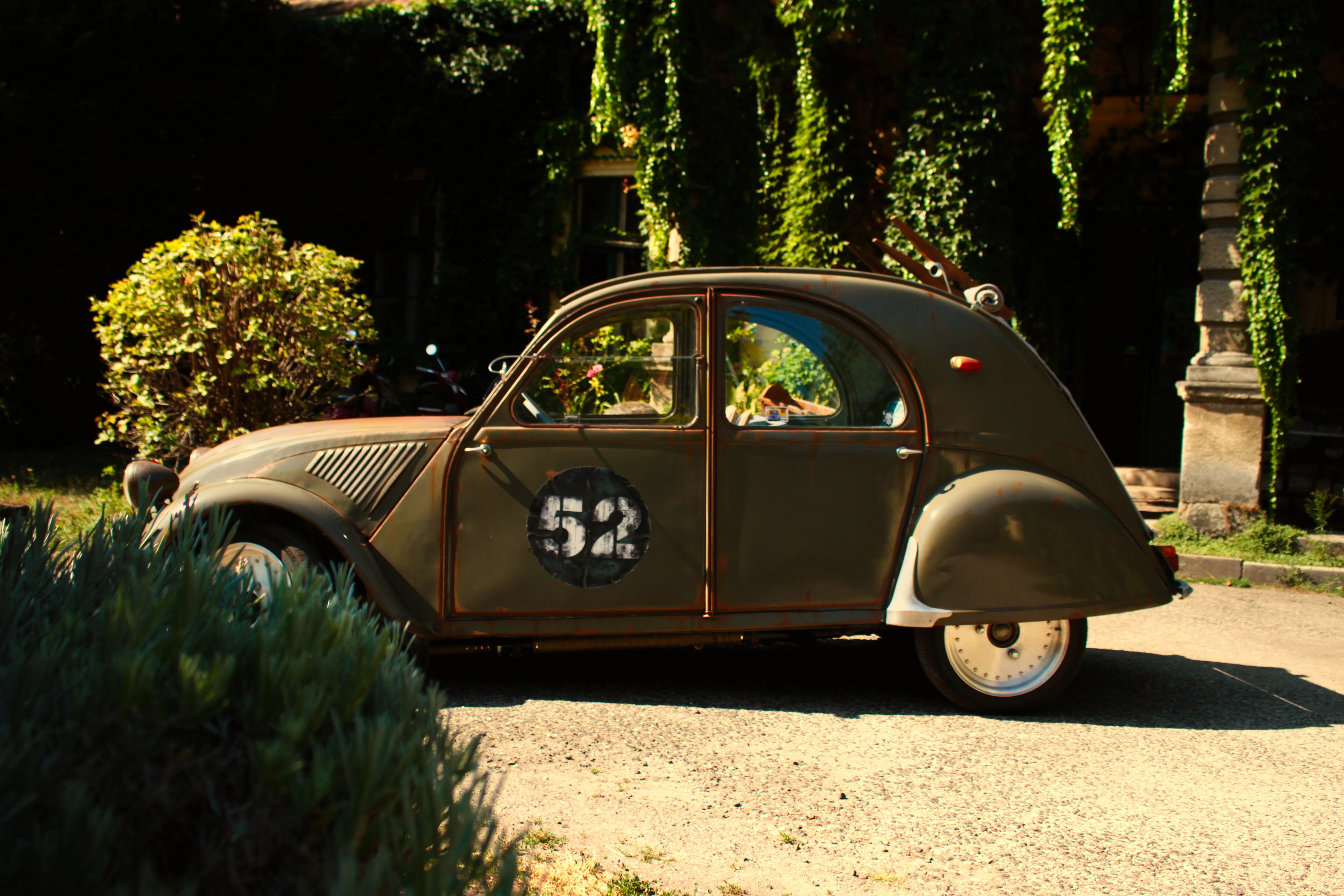 Authentic Picnic 2024 54