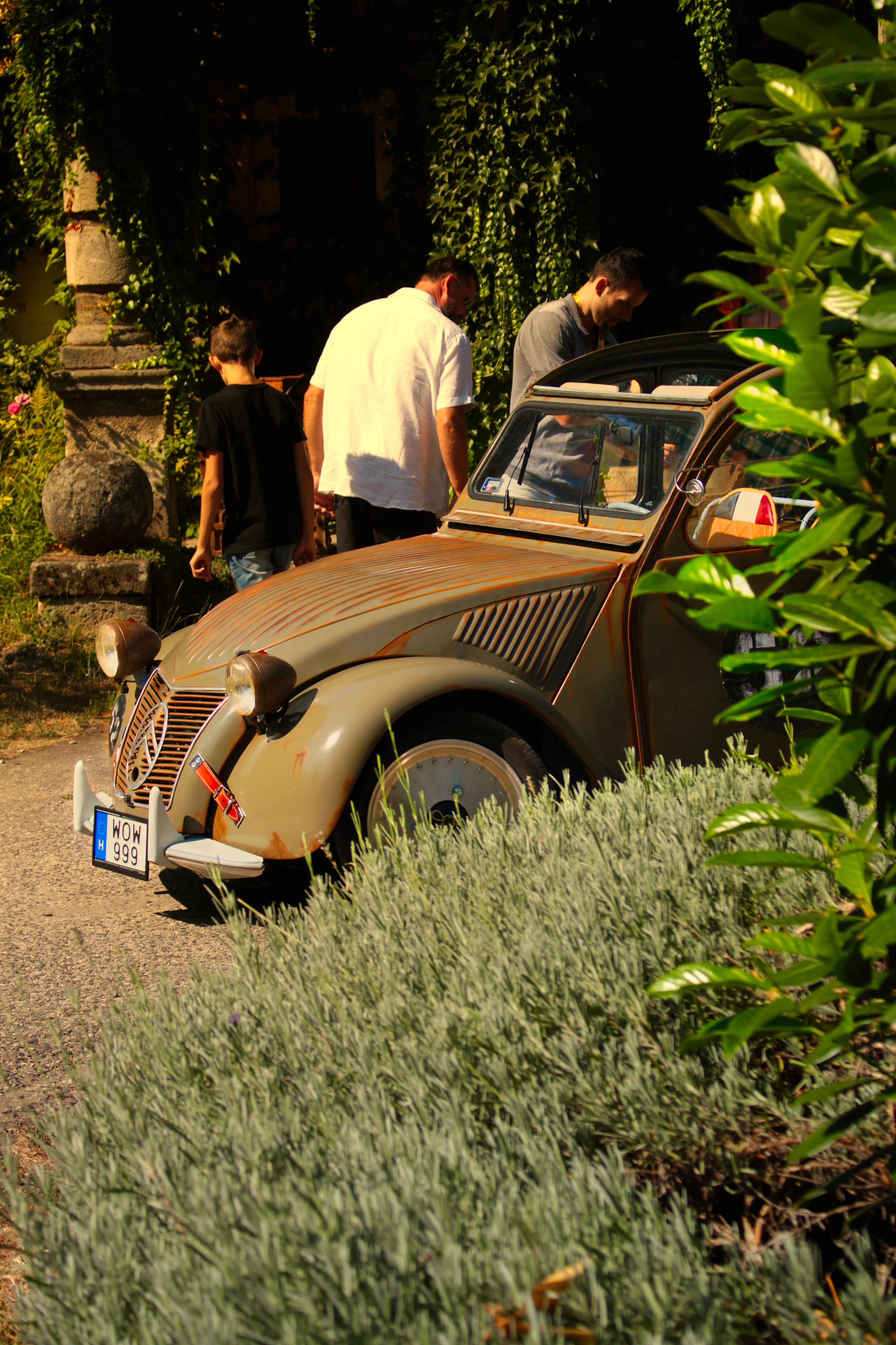 Authentic Picnic 2024 52