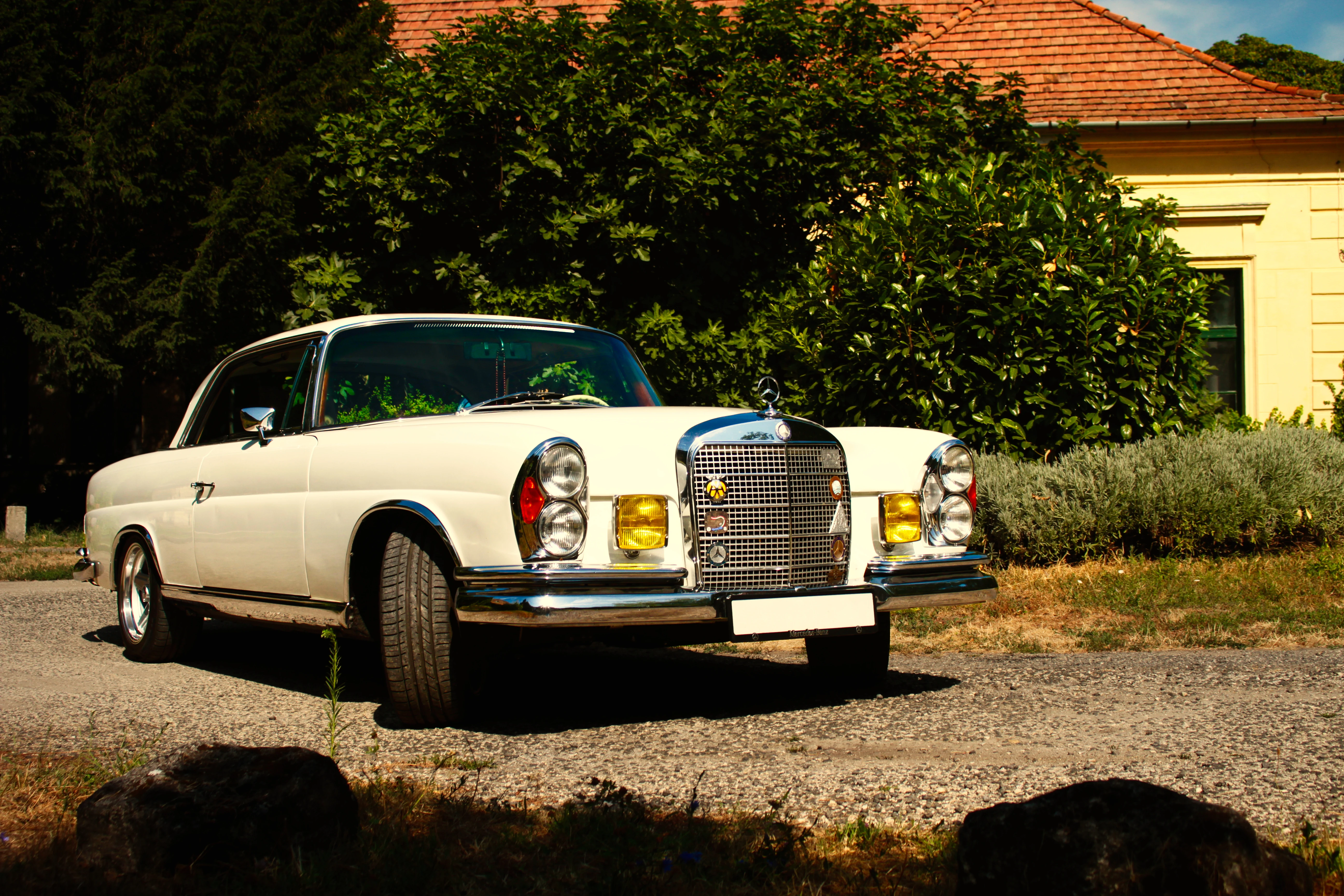 Authentic Picnic 2024 50