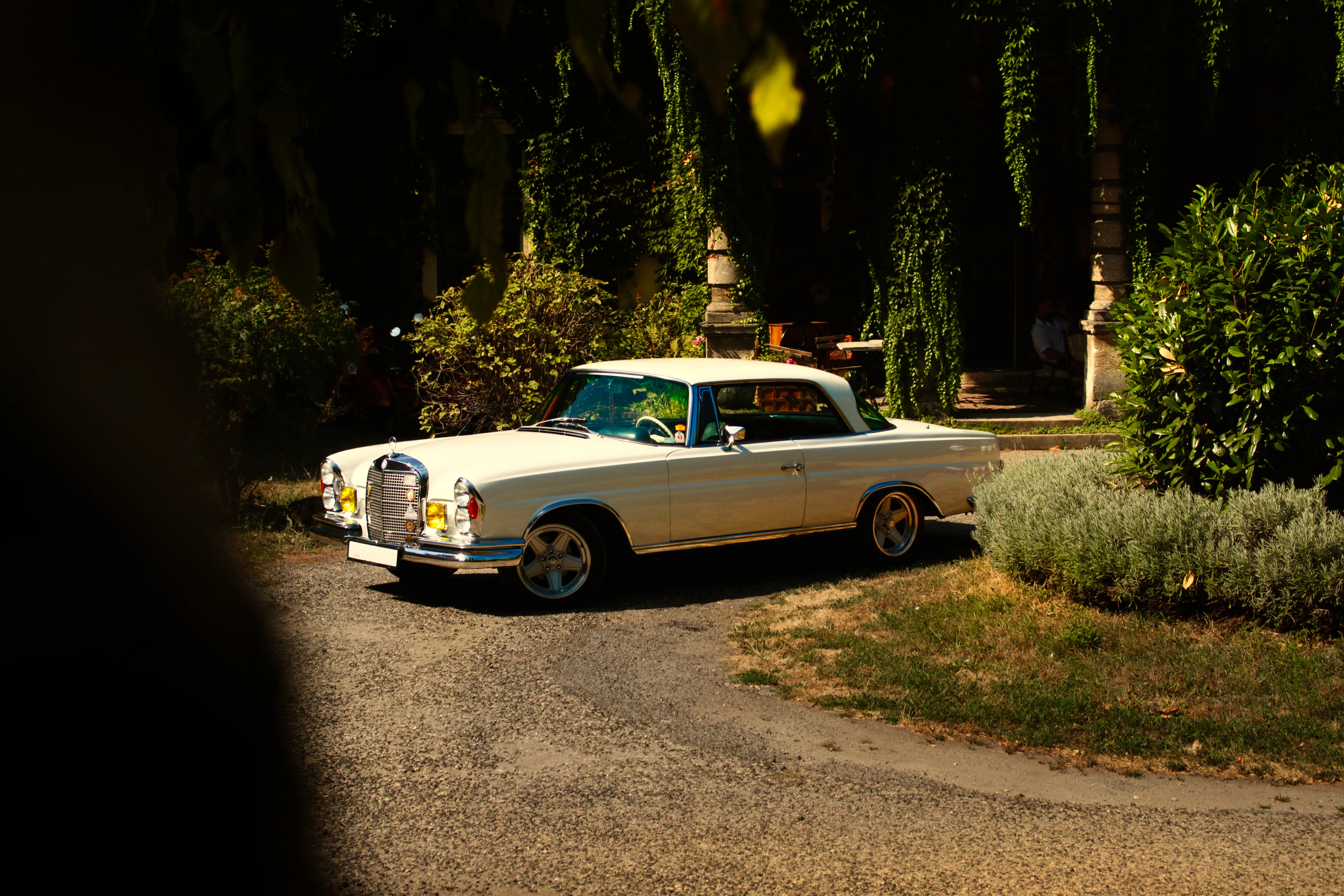 Authentic Picnic 2024 49