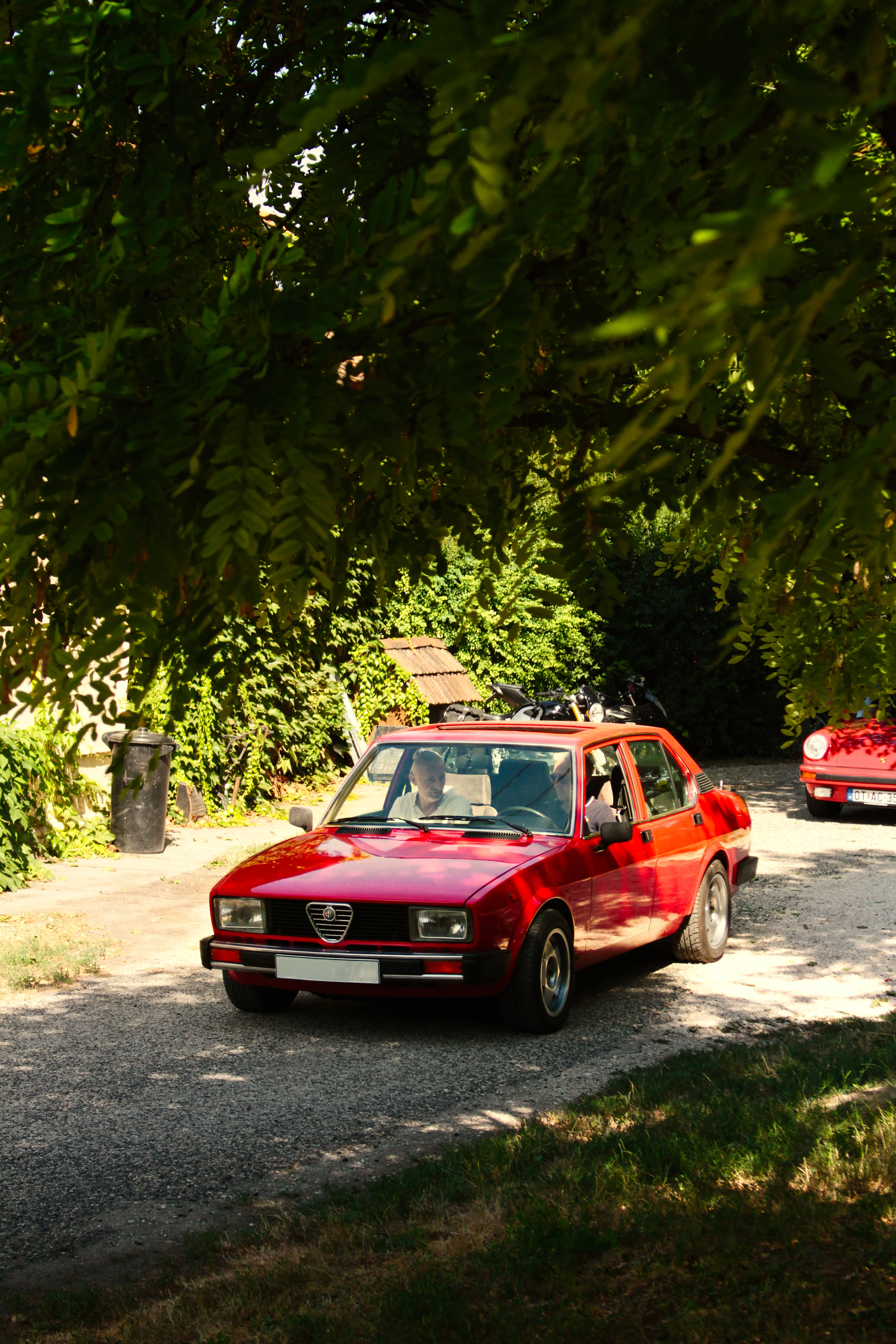 Authentic Picnic 2024 48