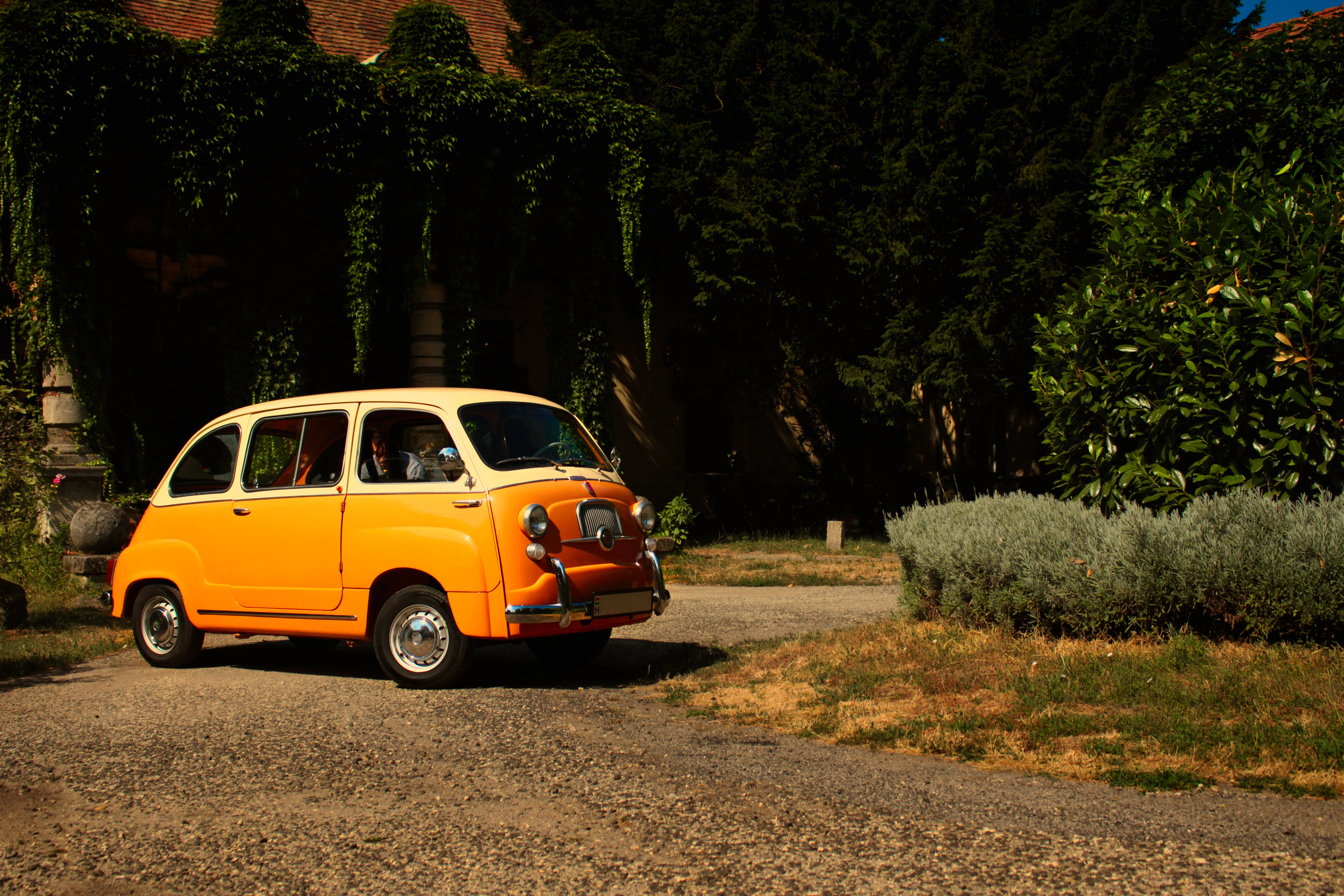 Authentic Picnic 2024 47