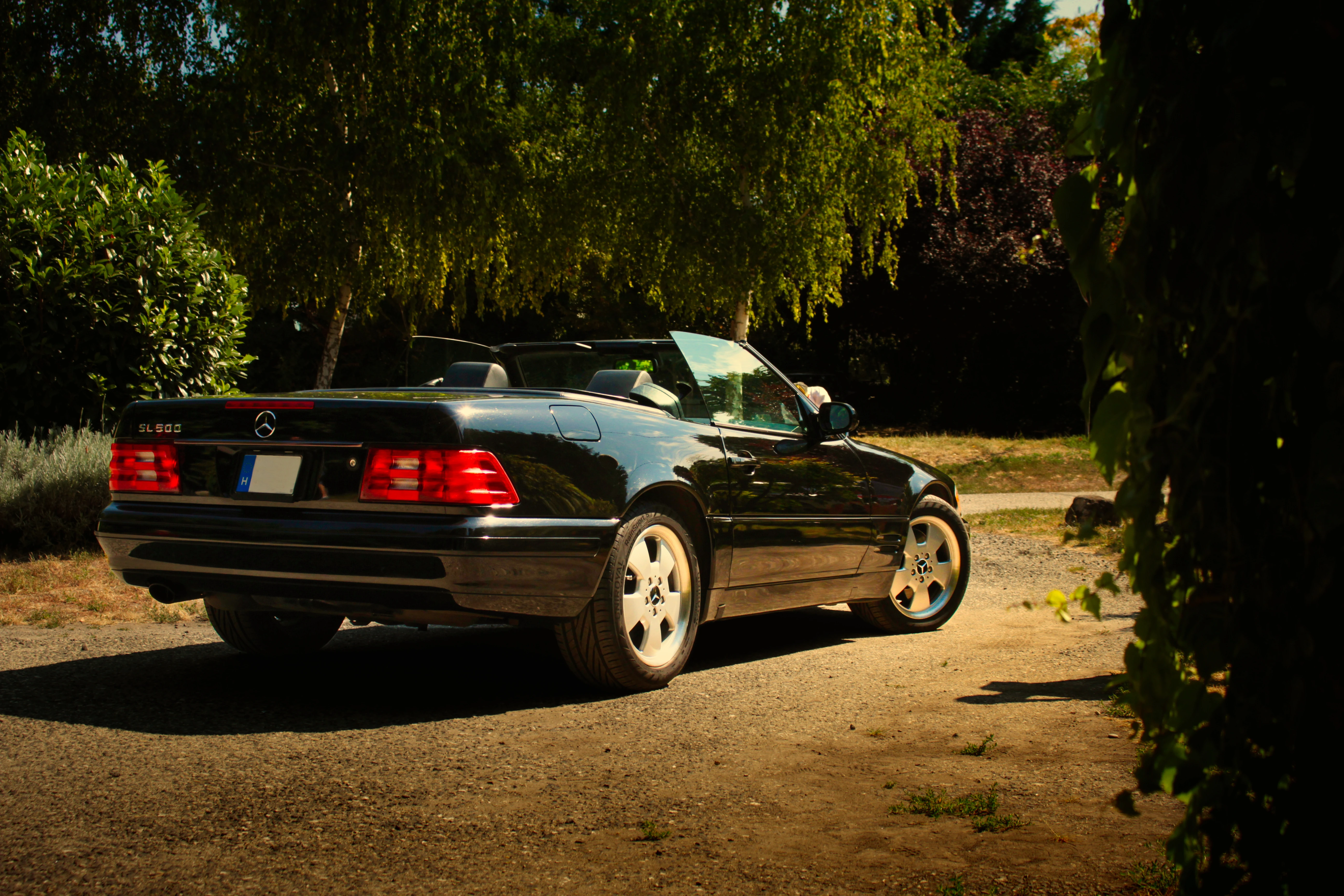 Authentic Picnic 2024 46