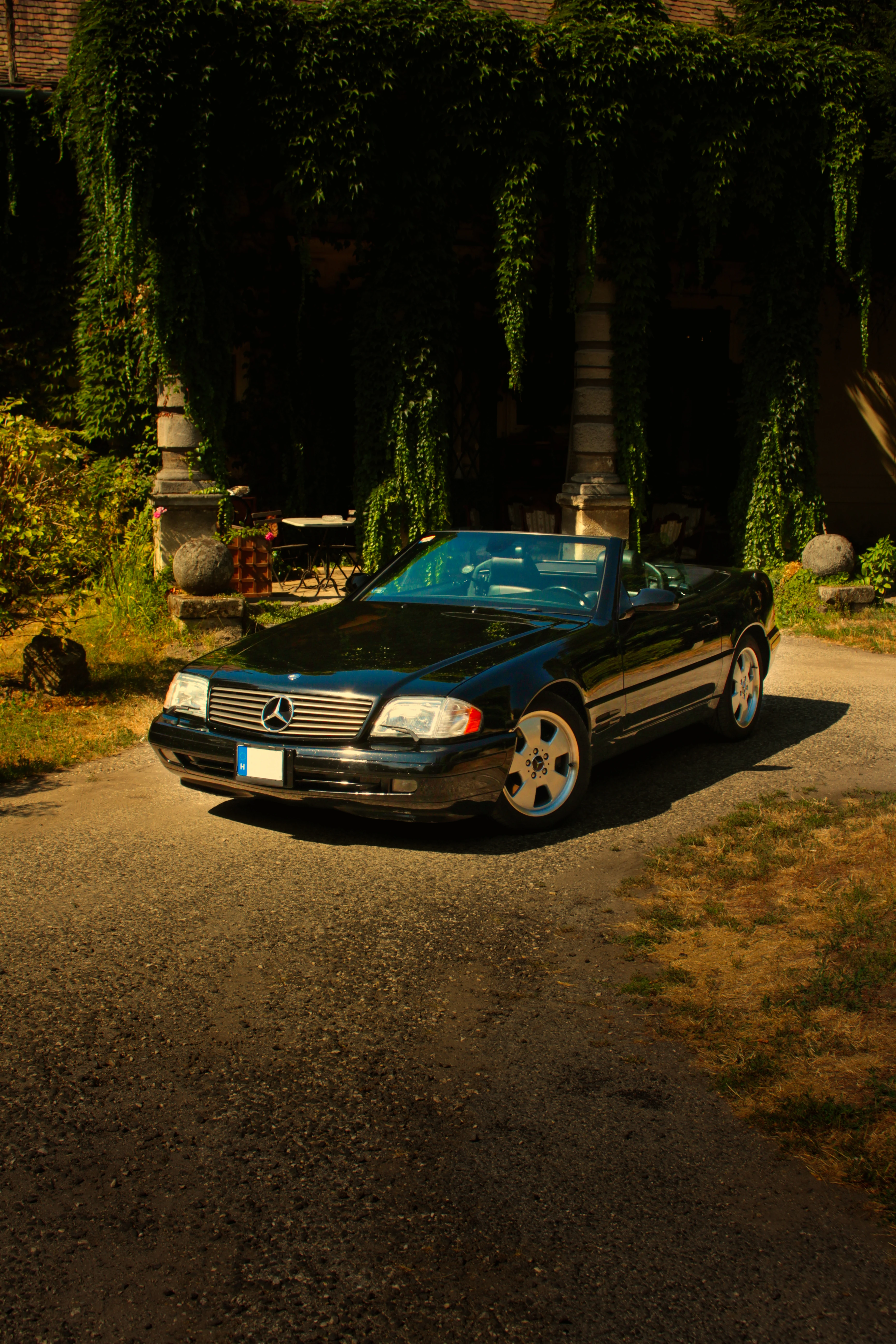 Authentic Picnic 2024 45