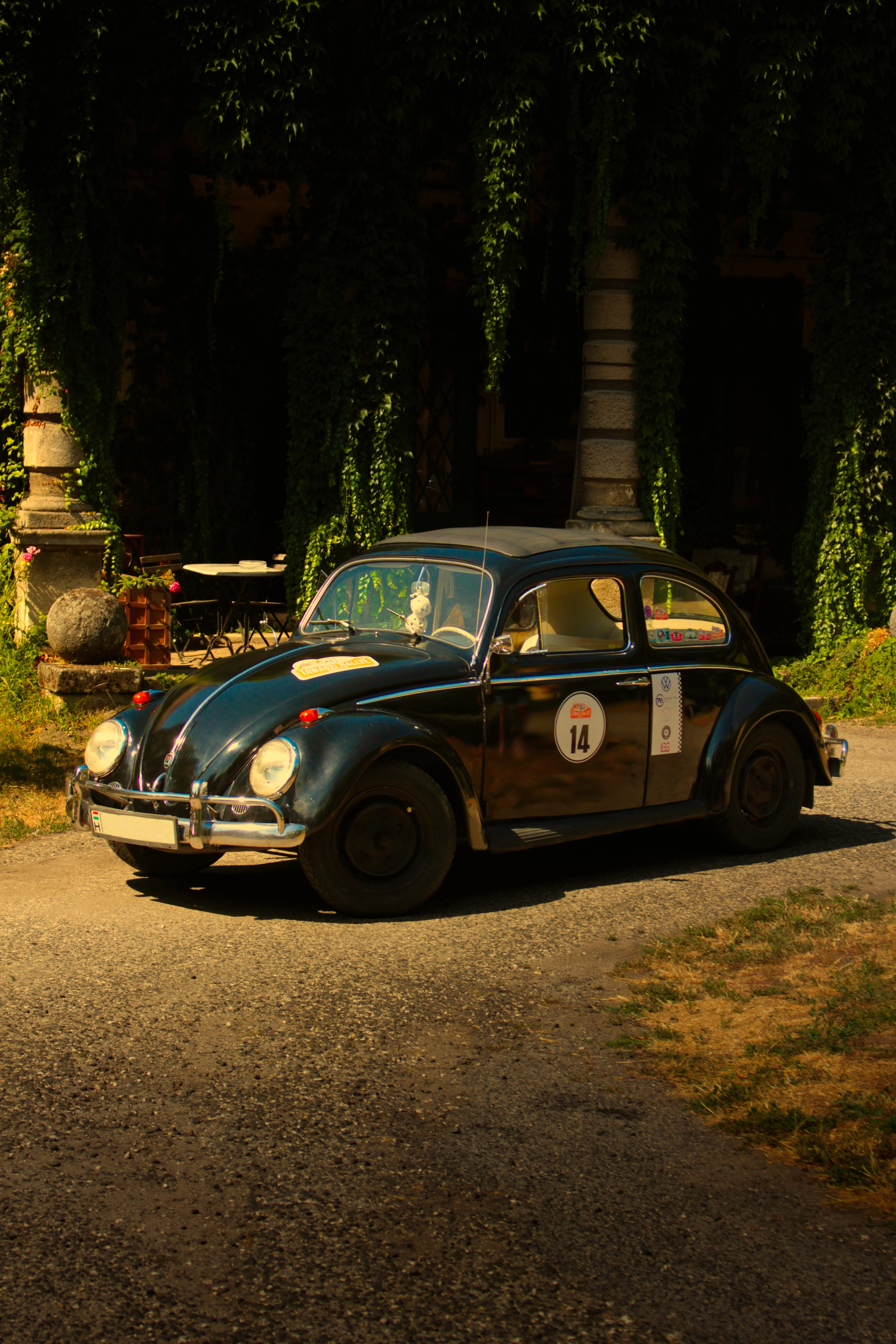 Authentic Picnic 2024 43