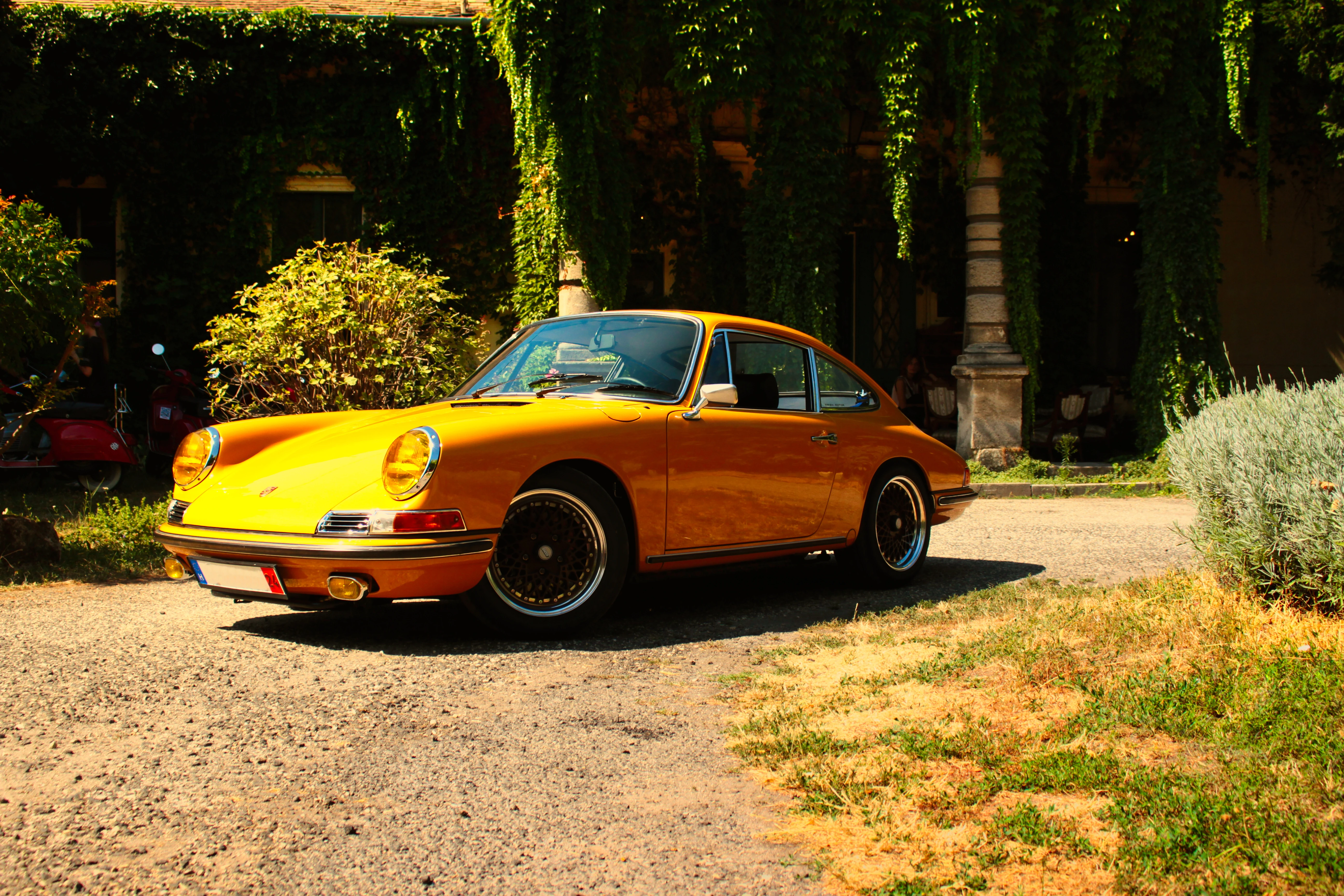 Authentic Picnic 2024 39